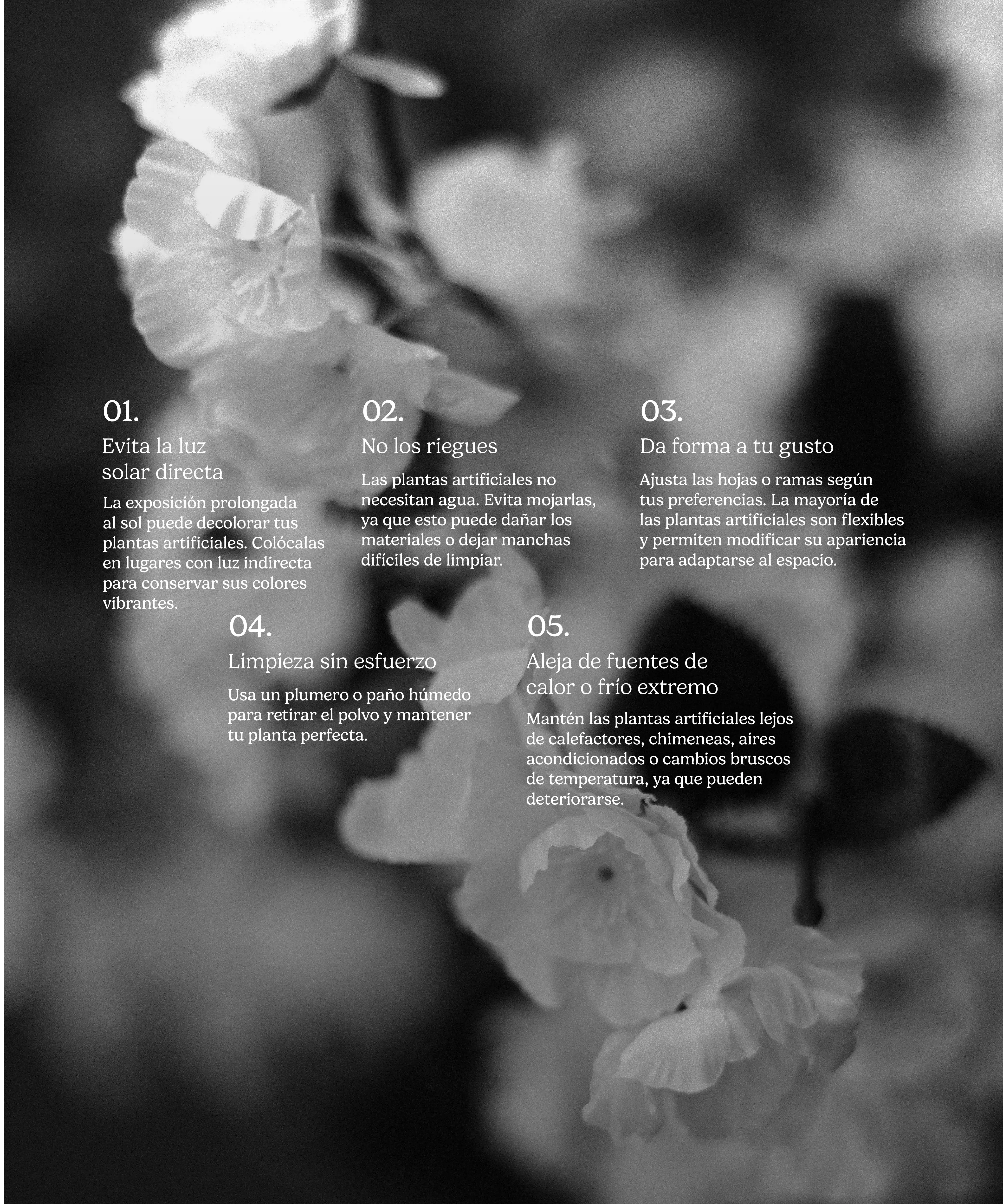 Imagen del producto 10