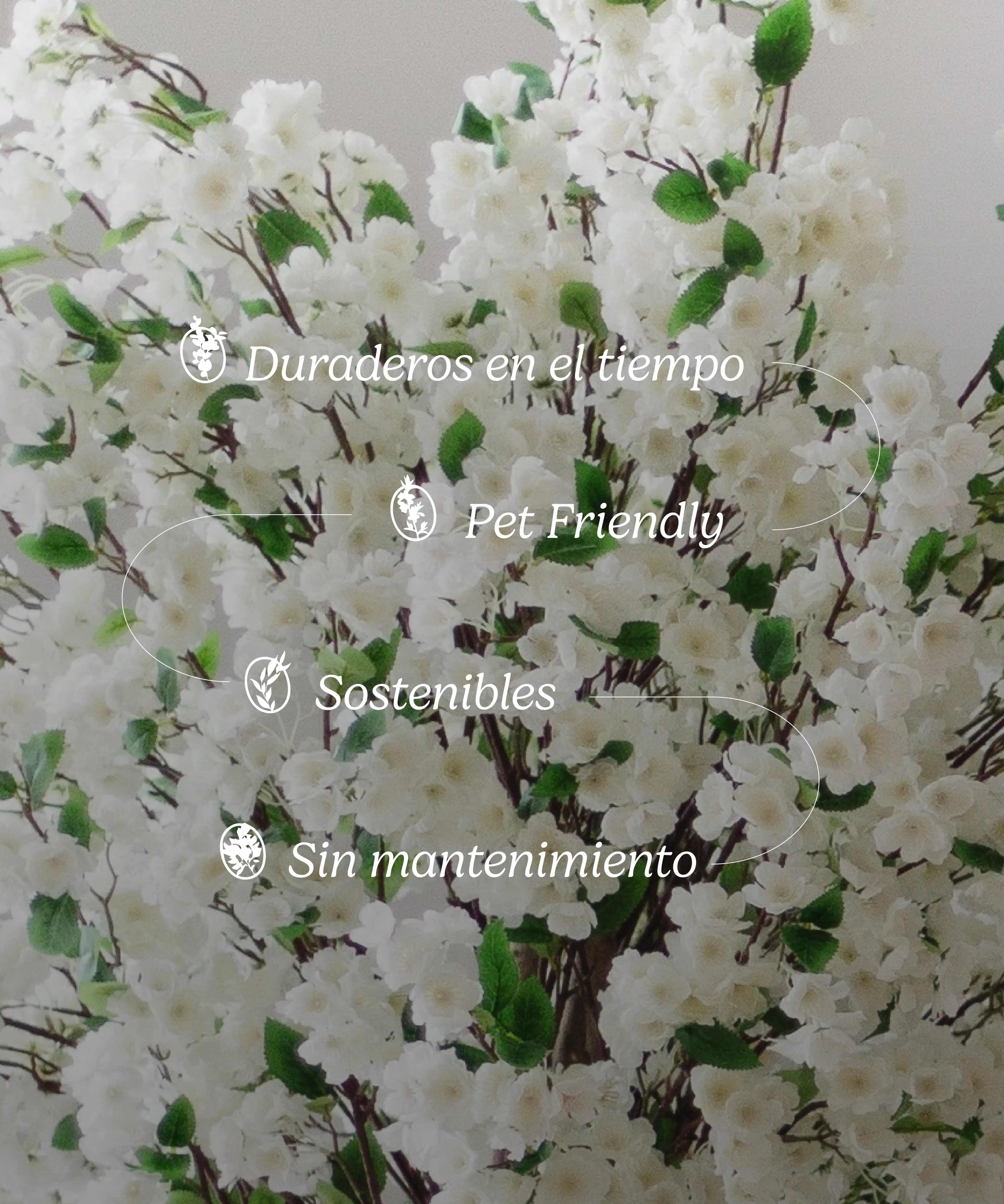 Imagen del producto 9