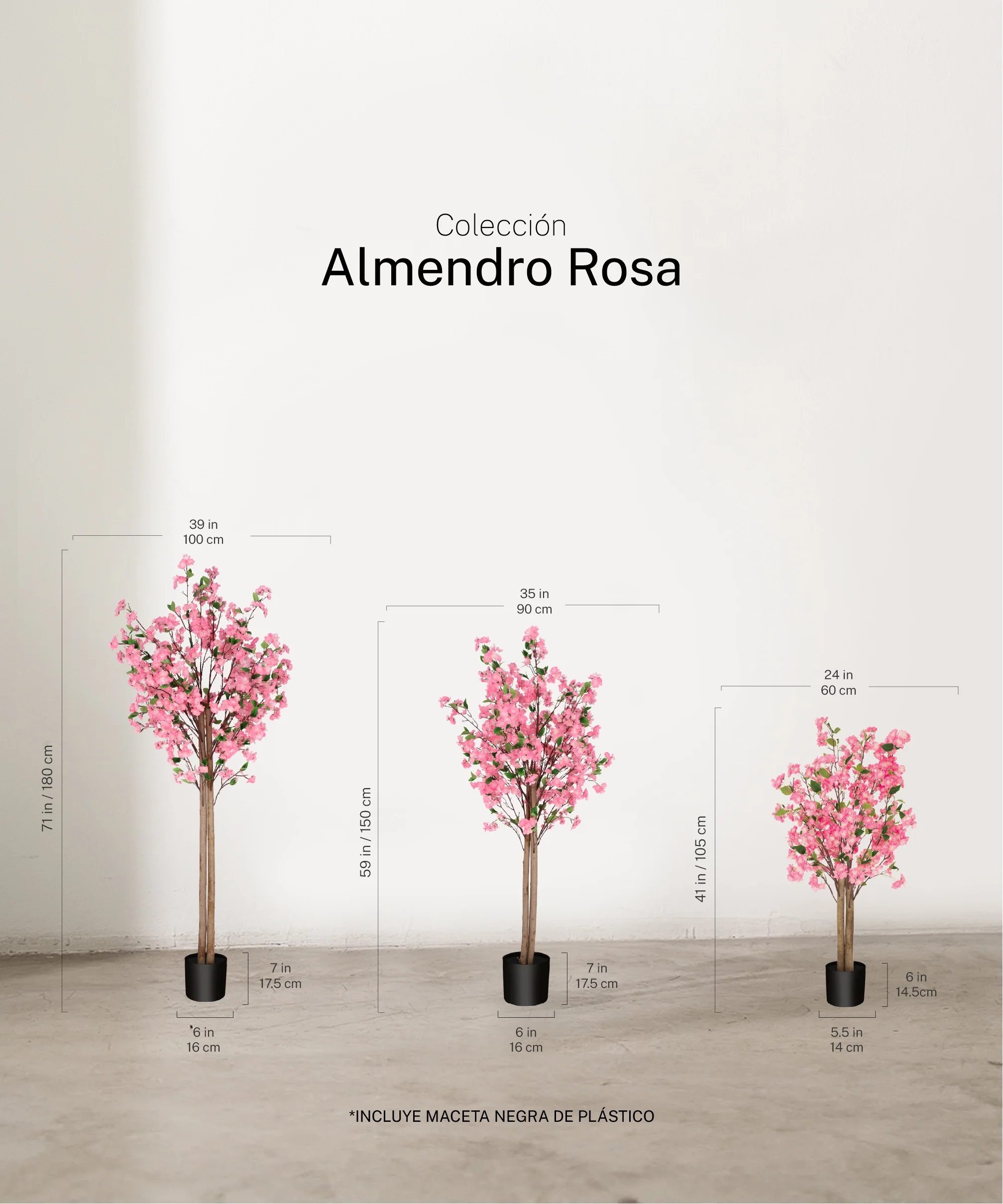 Imagen del producto 7