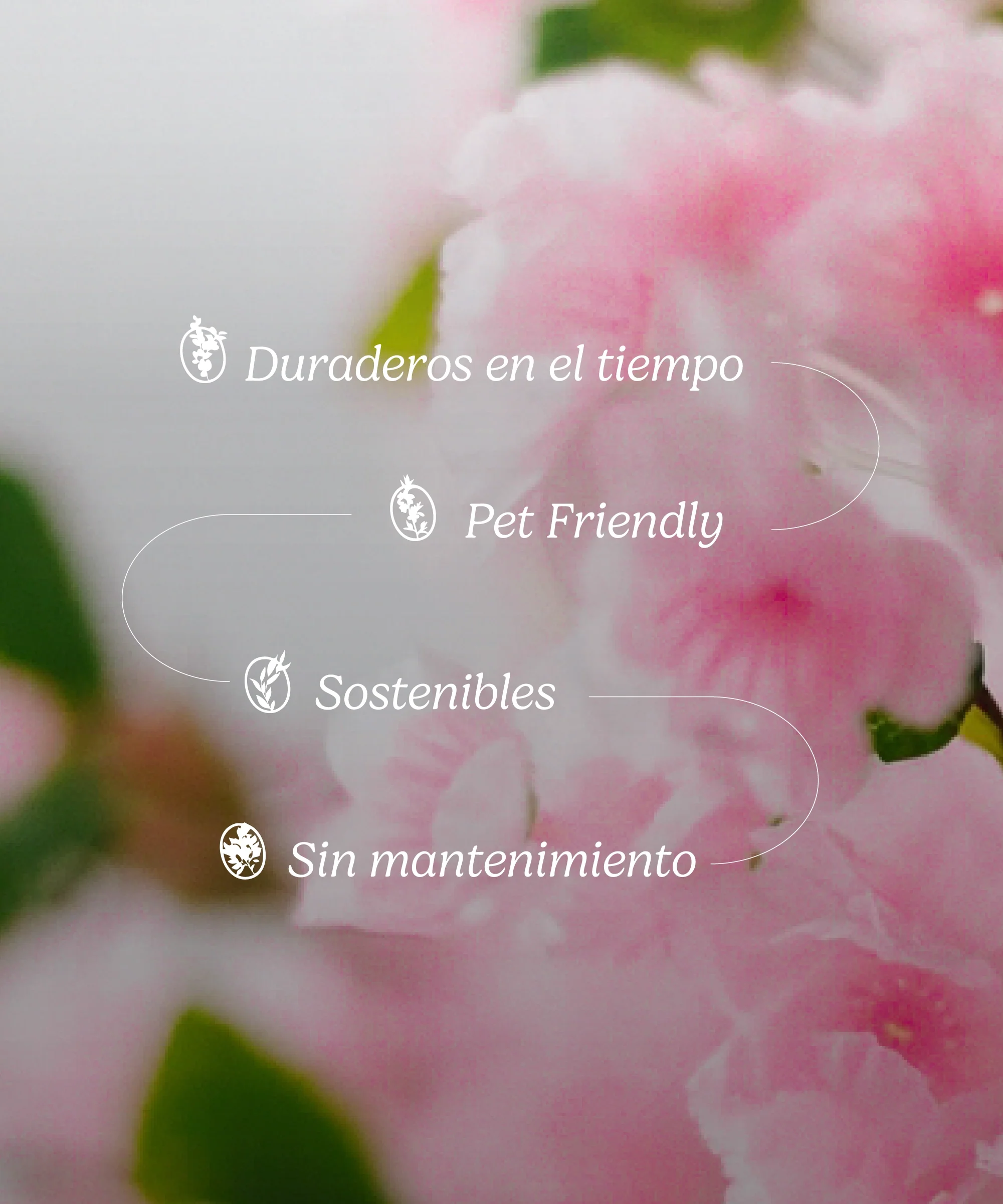 Imagen del producto 8