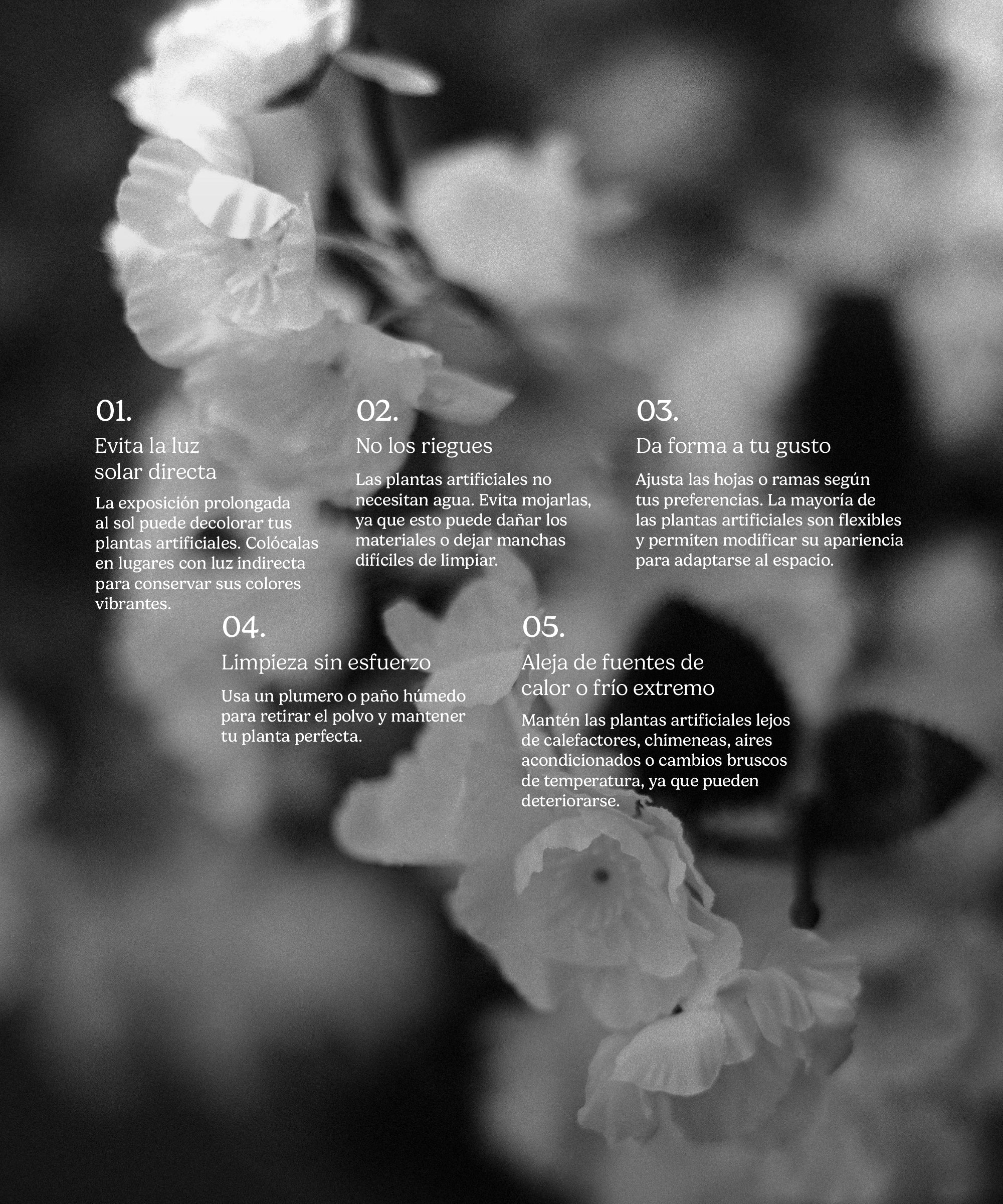 Imagen del producto 9