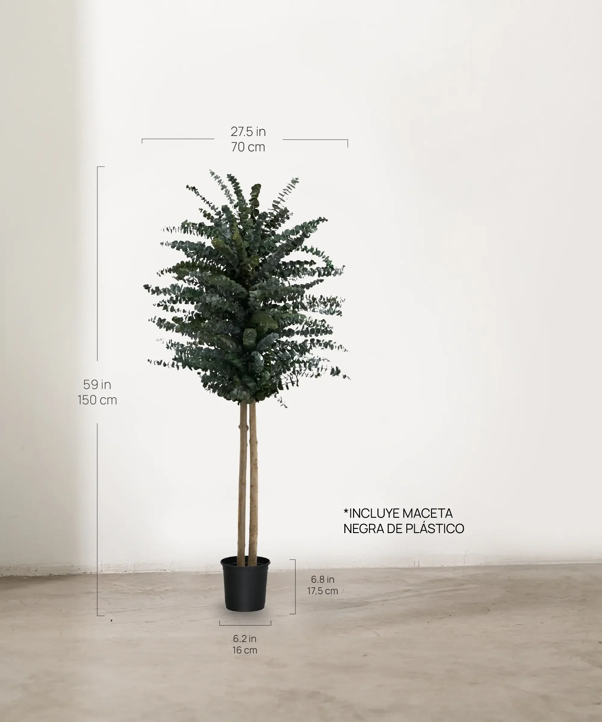 Imagen del producto 10