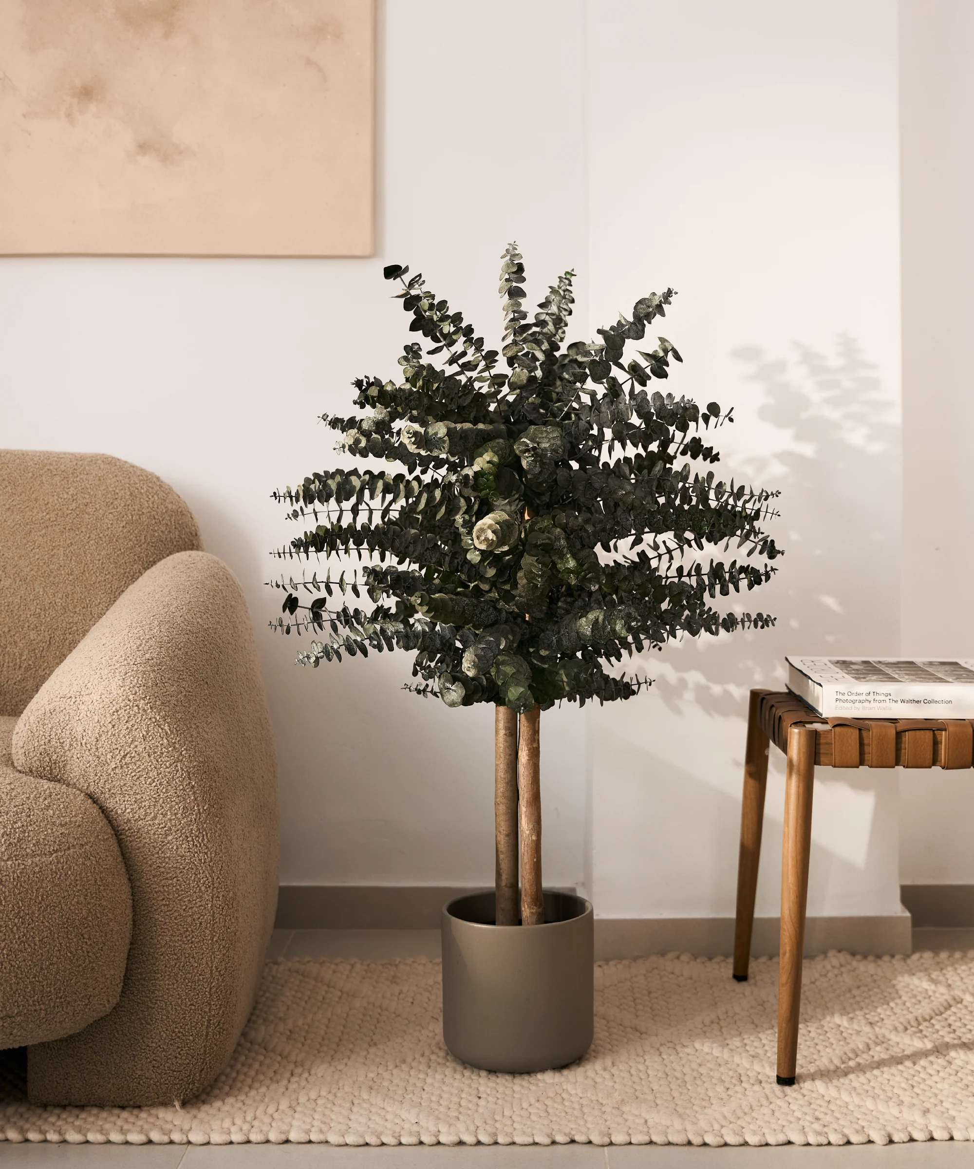 Imagen del producto 11