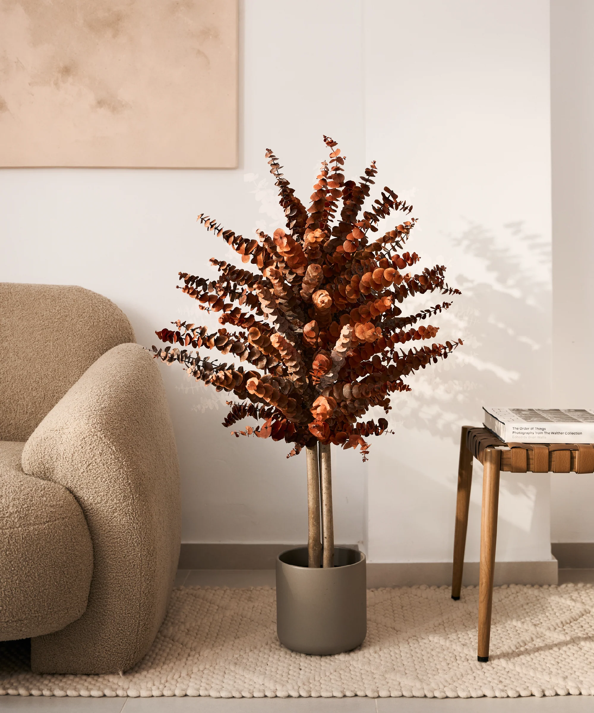 Imagen del producto 12