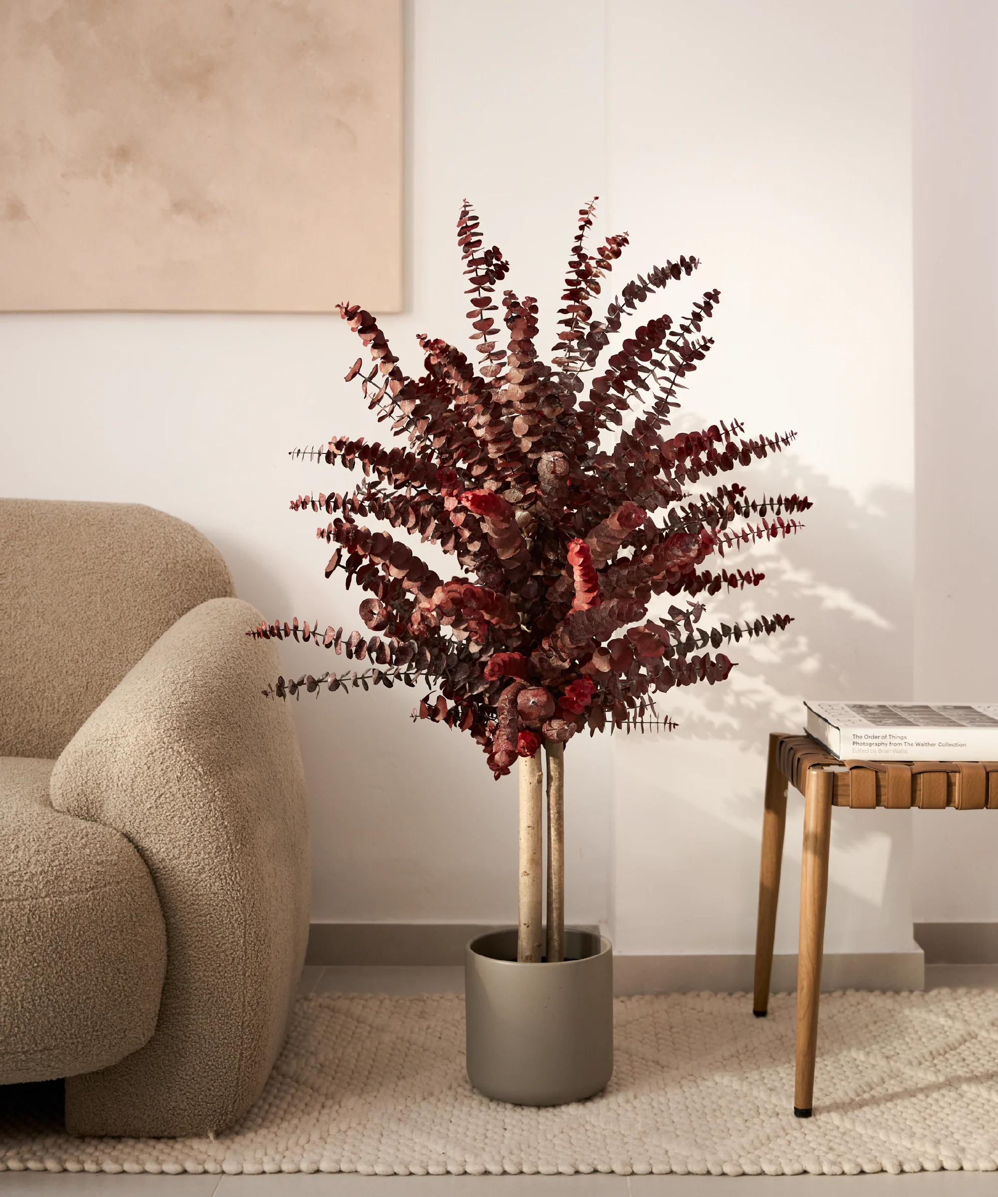 Imagen del producto 13