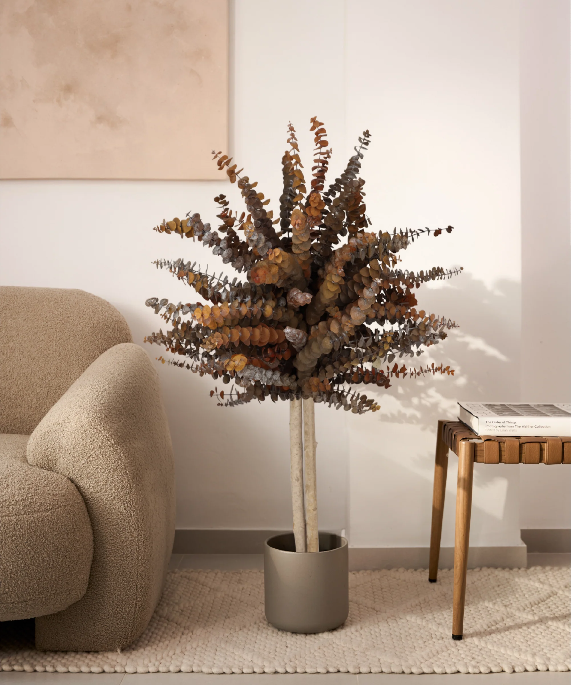 Imagen del producto 14