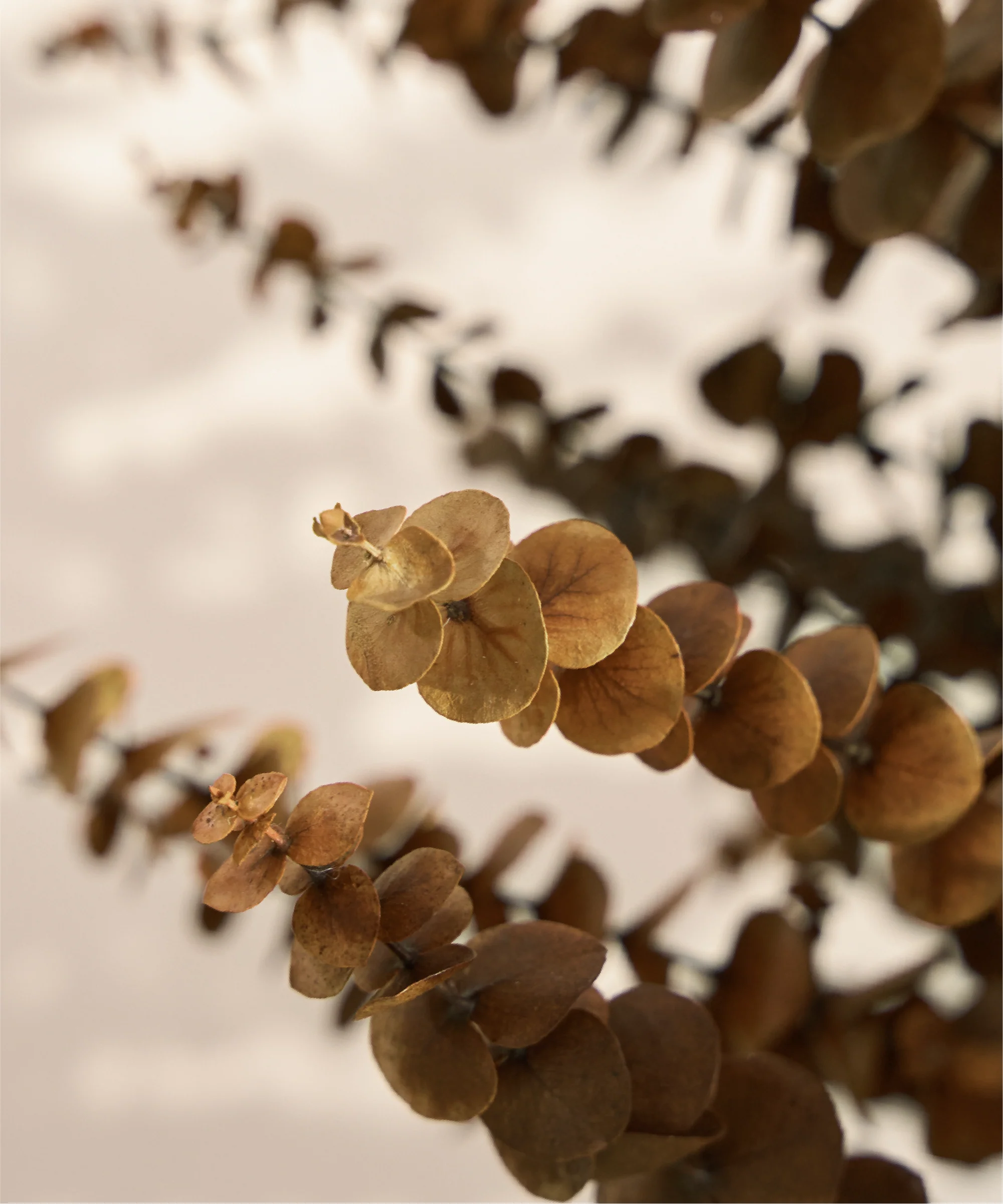 Imagen del producto 8