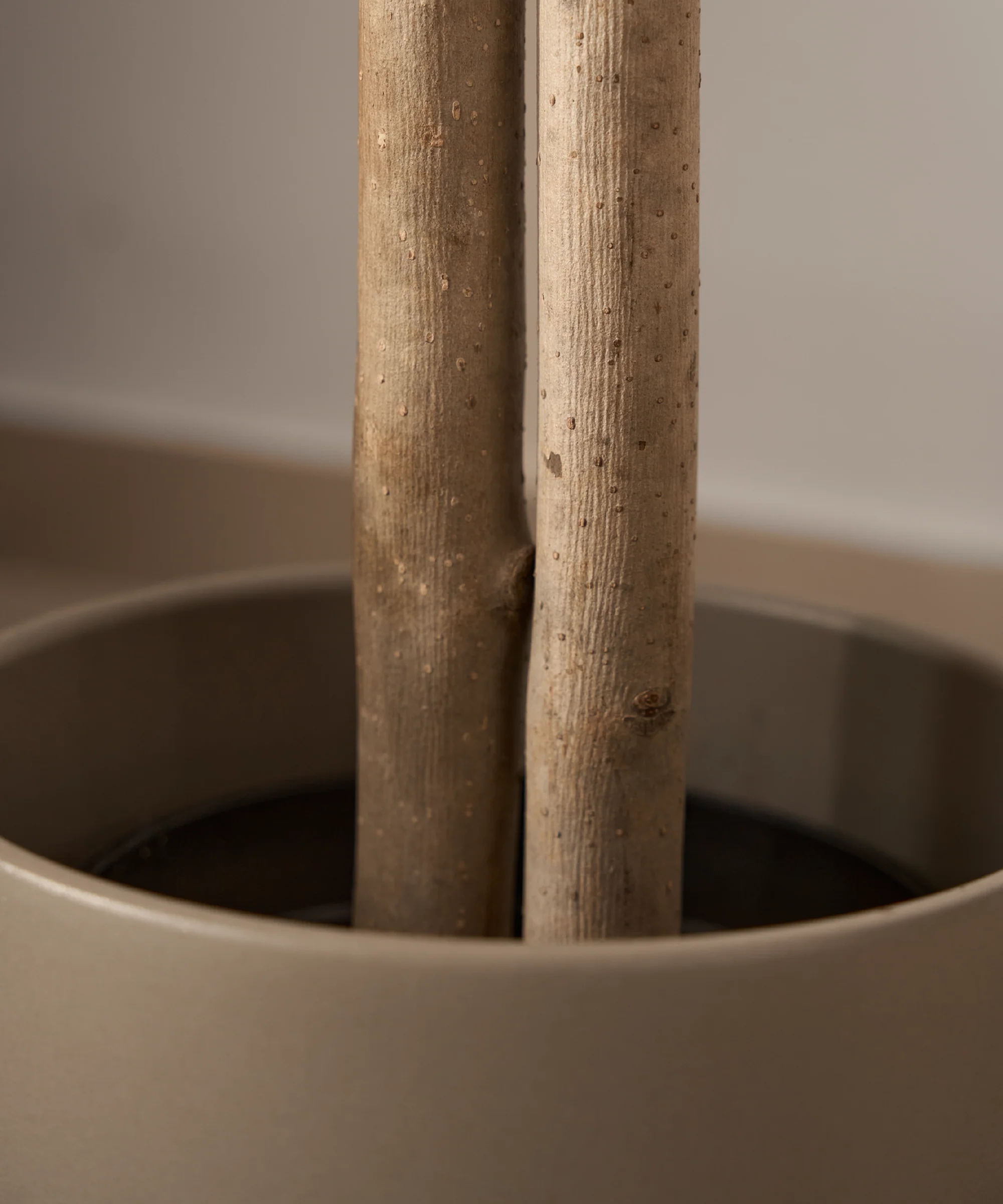 Imagen del producto 20