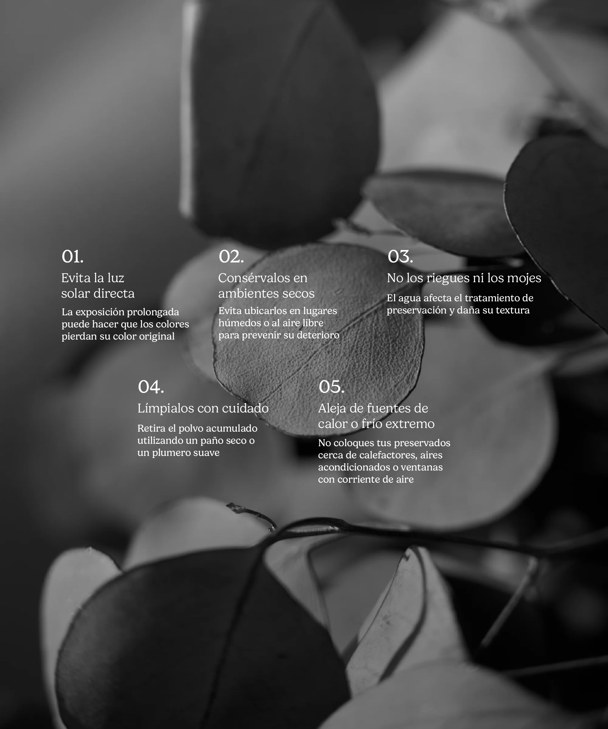 Imagen del producto 21