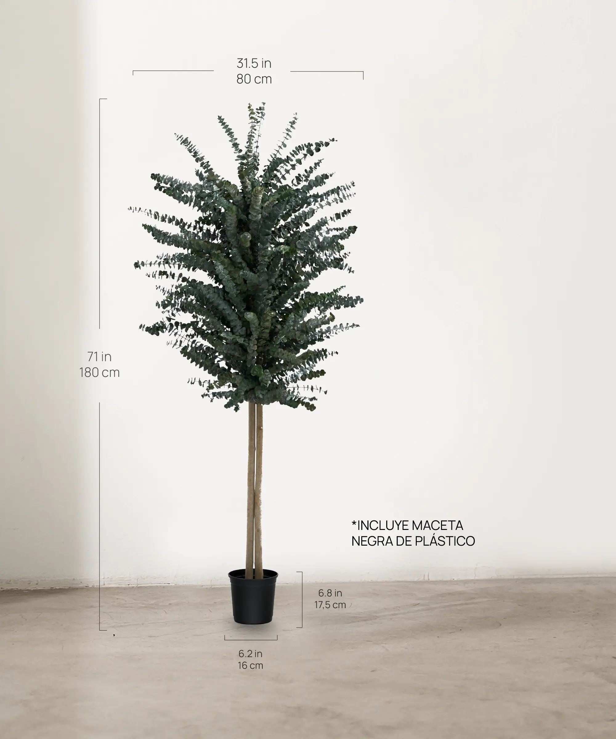 Imagen del producto 5