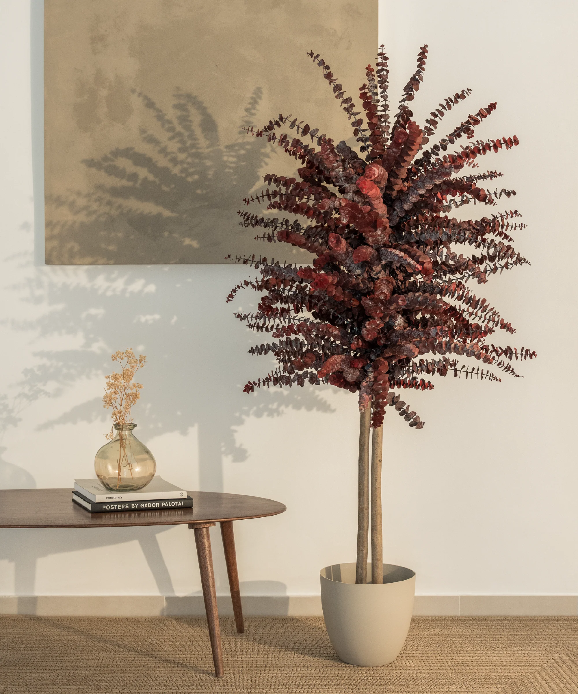 Imagen del producto 7