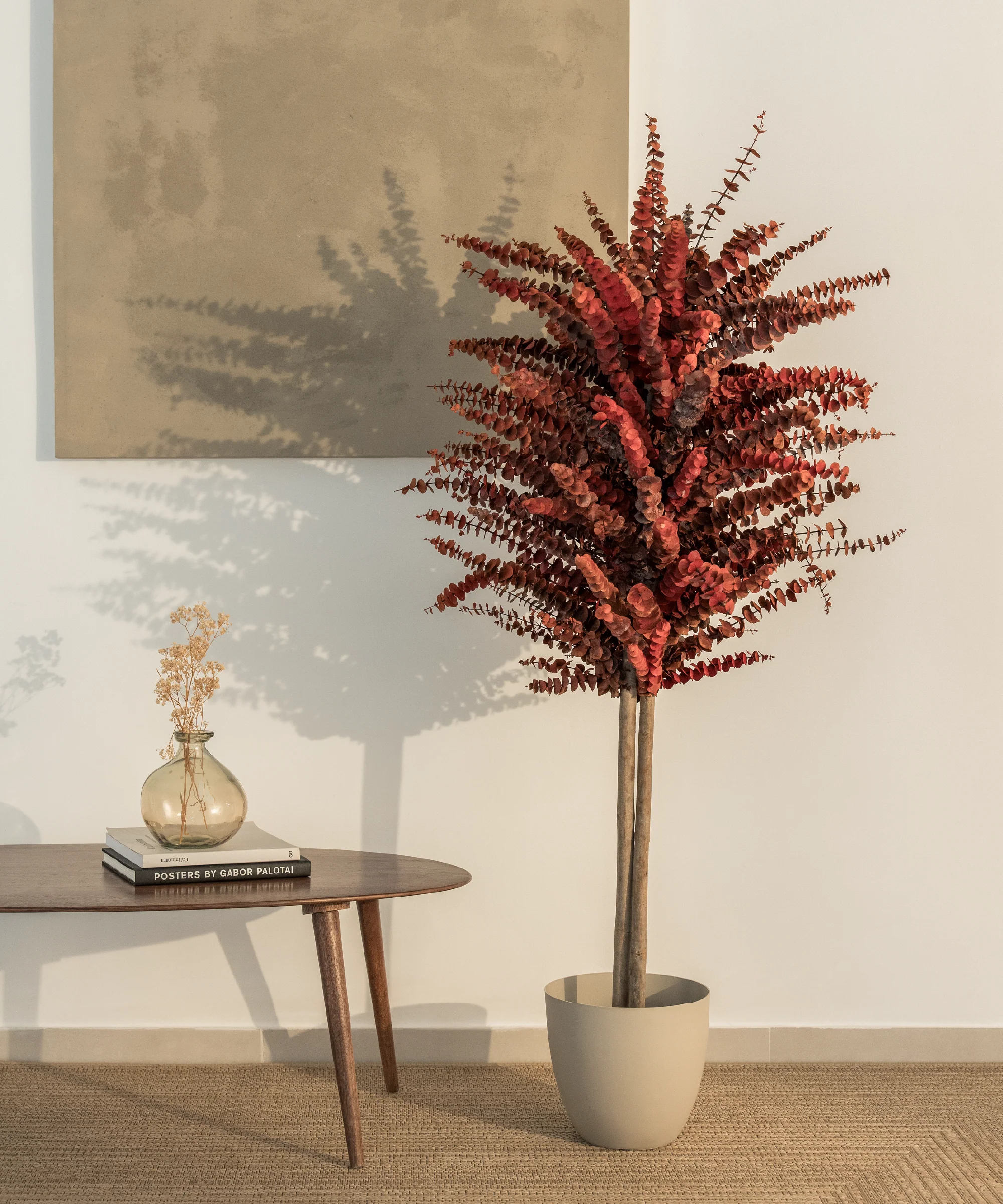 Imagen del producto 8