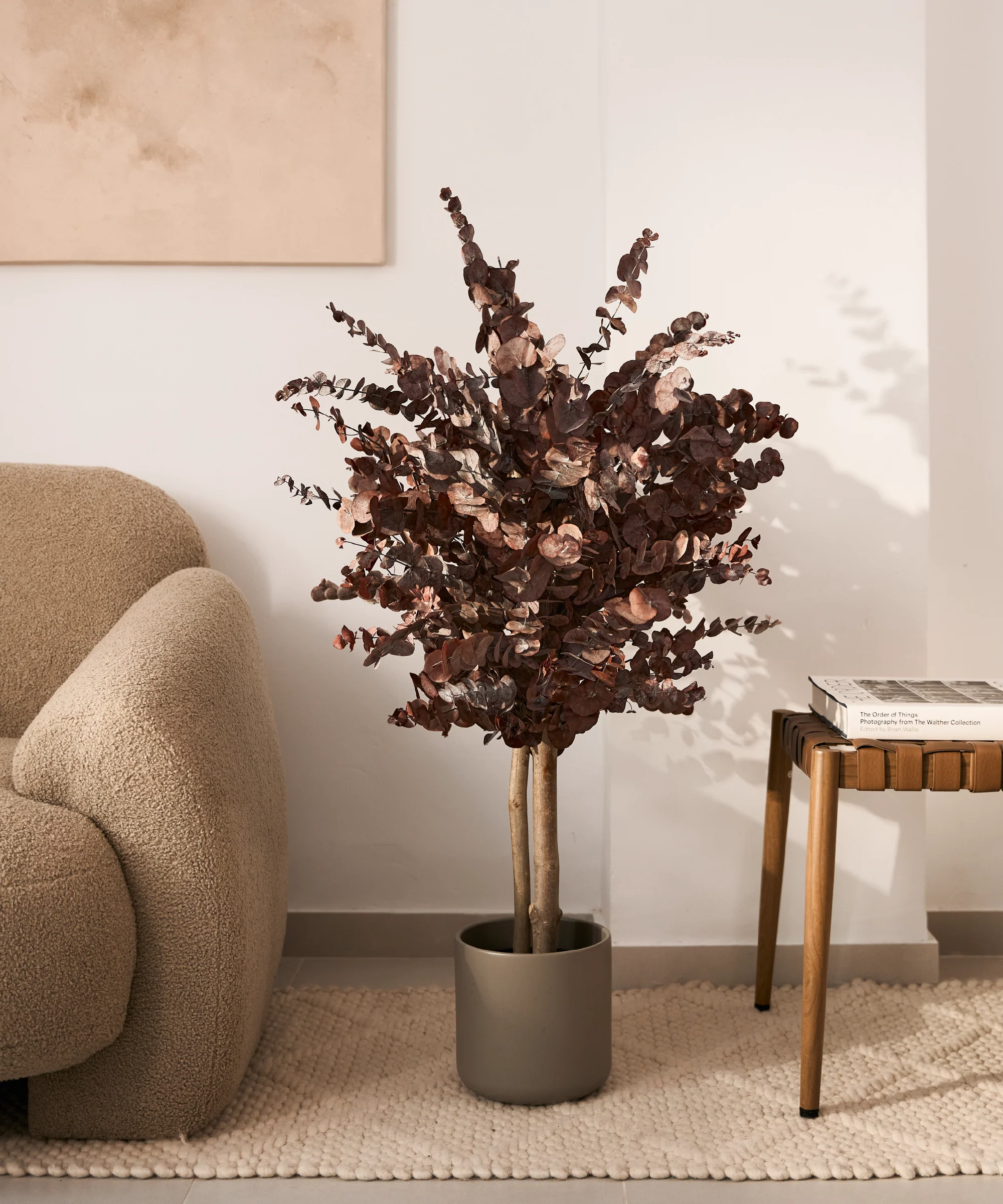 Imagen del producto 10