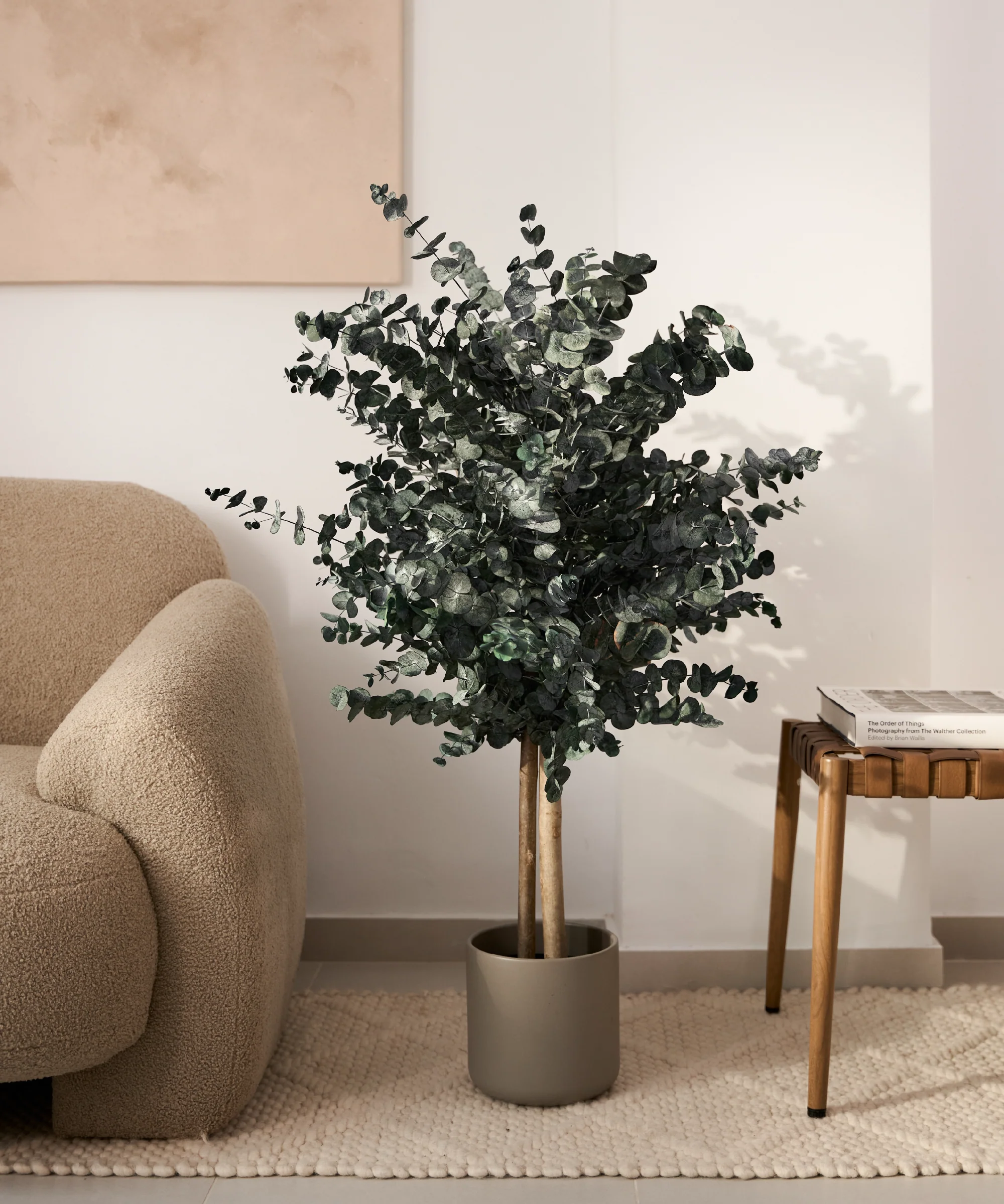 Imagen del producto 11