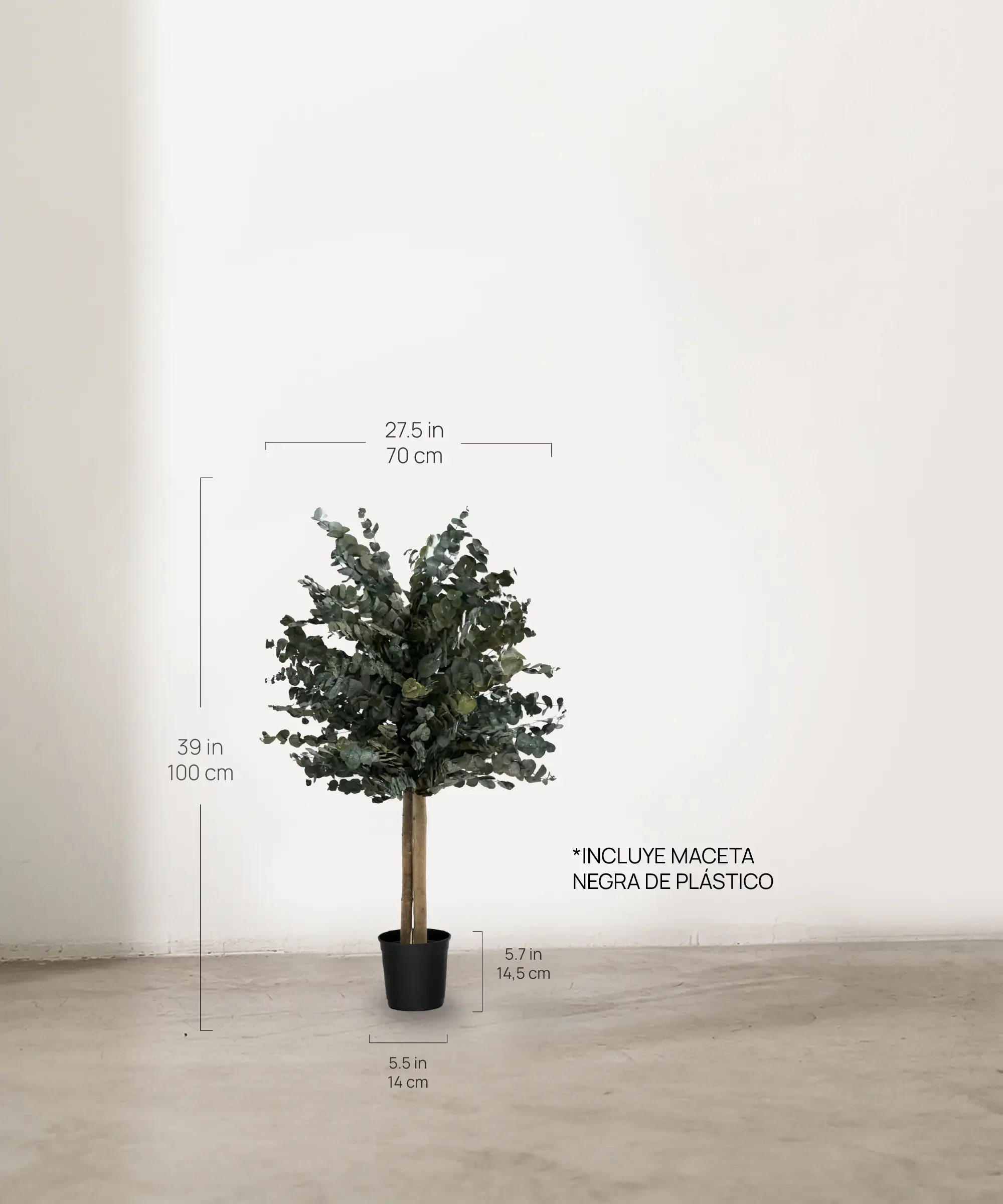 Imagen del producto 12