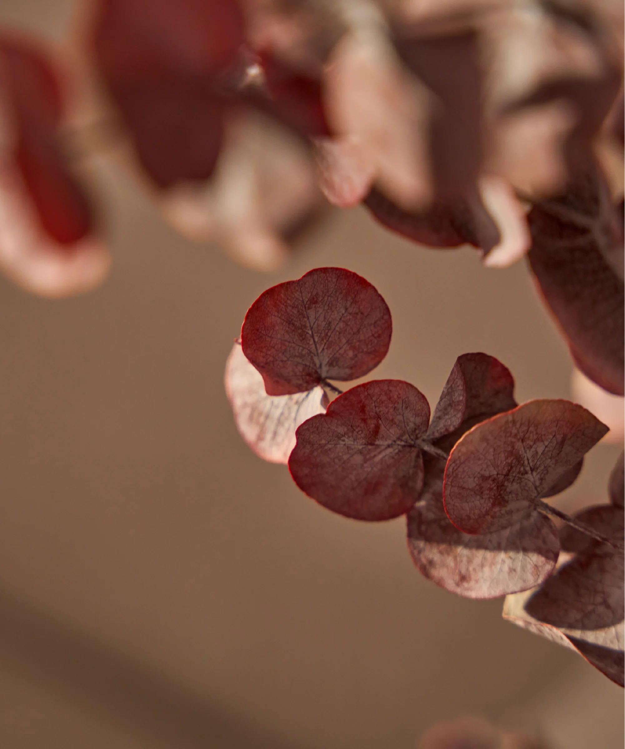 Imagen del producto 13