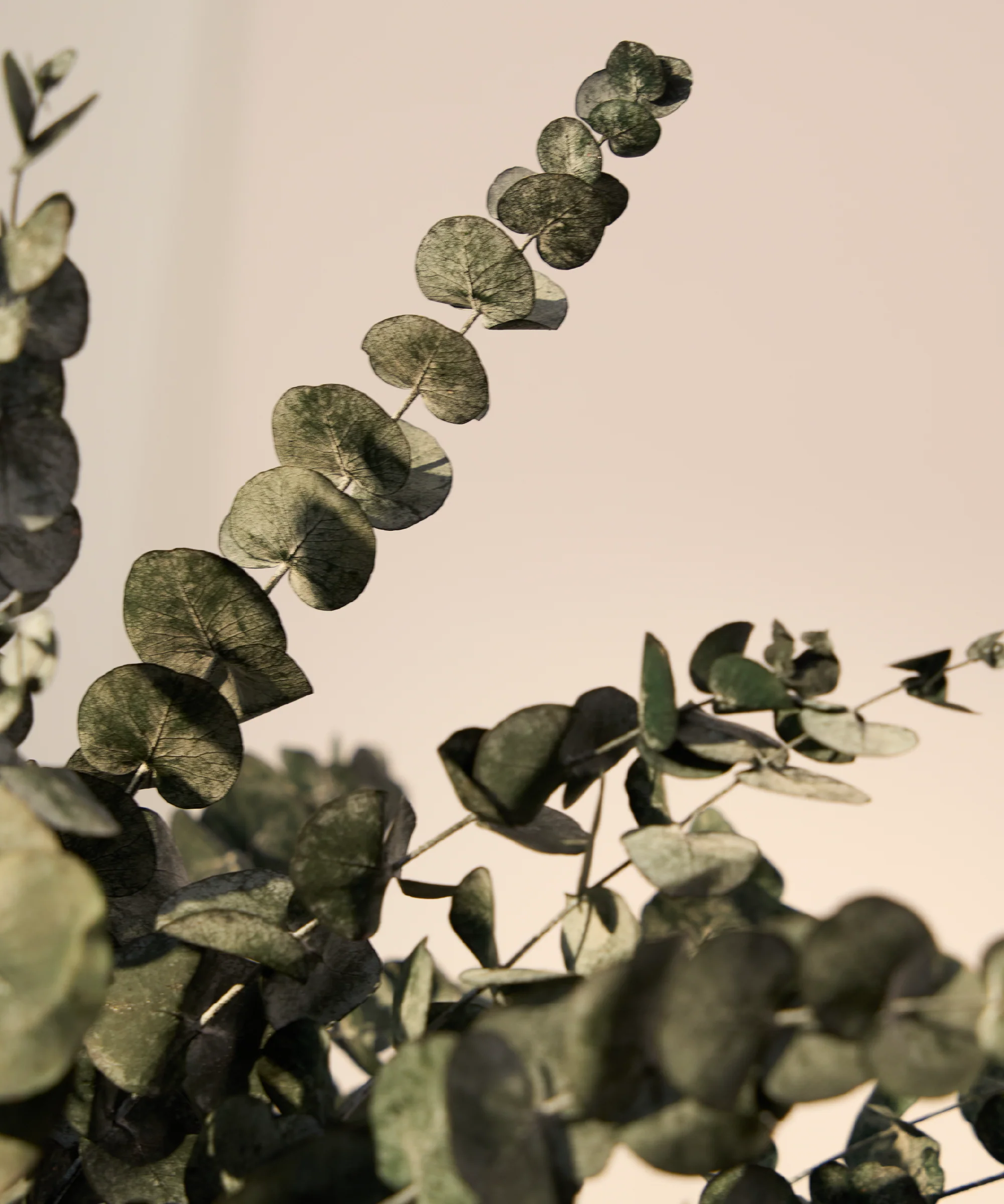 Imagen del producto 14