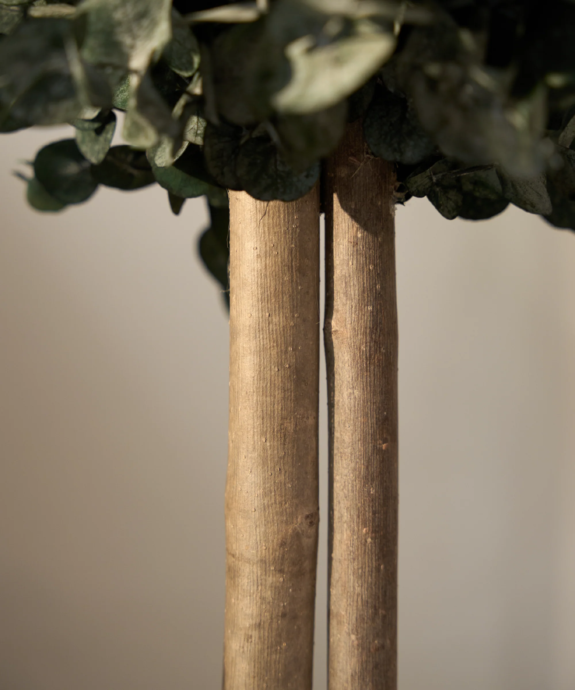 Imagen del producto 15