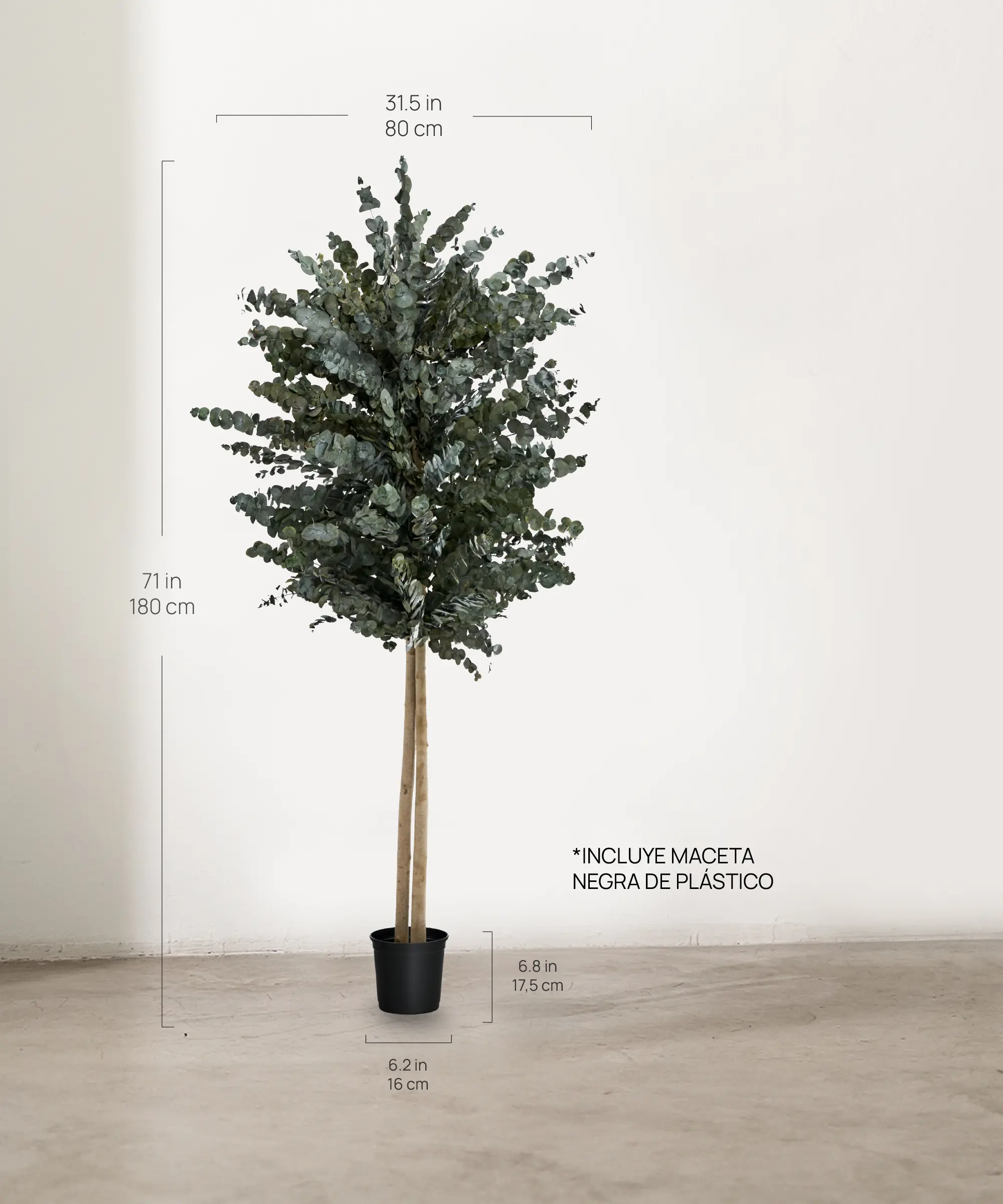 Imagen del producto 4