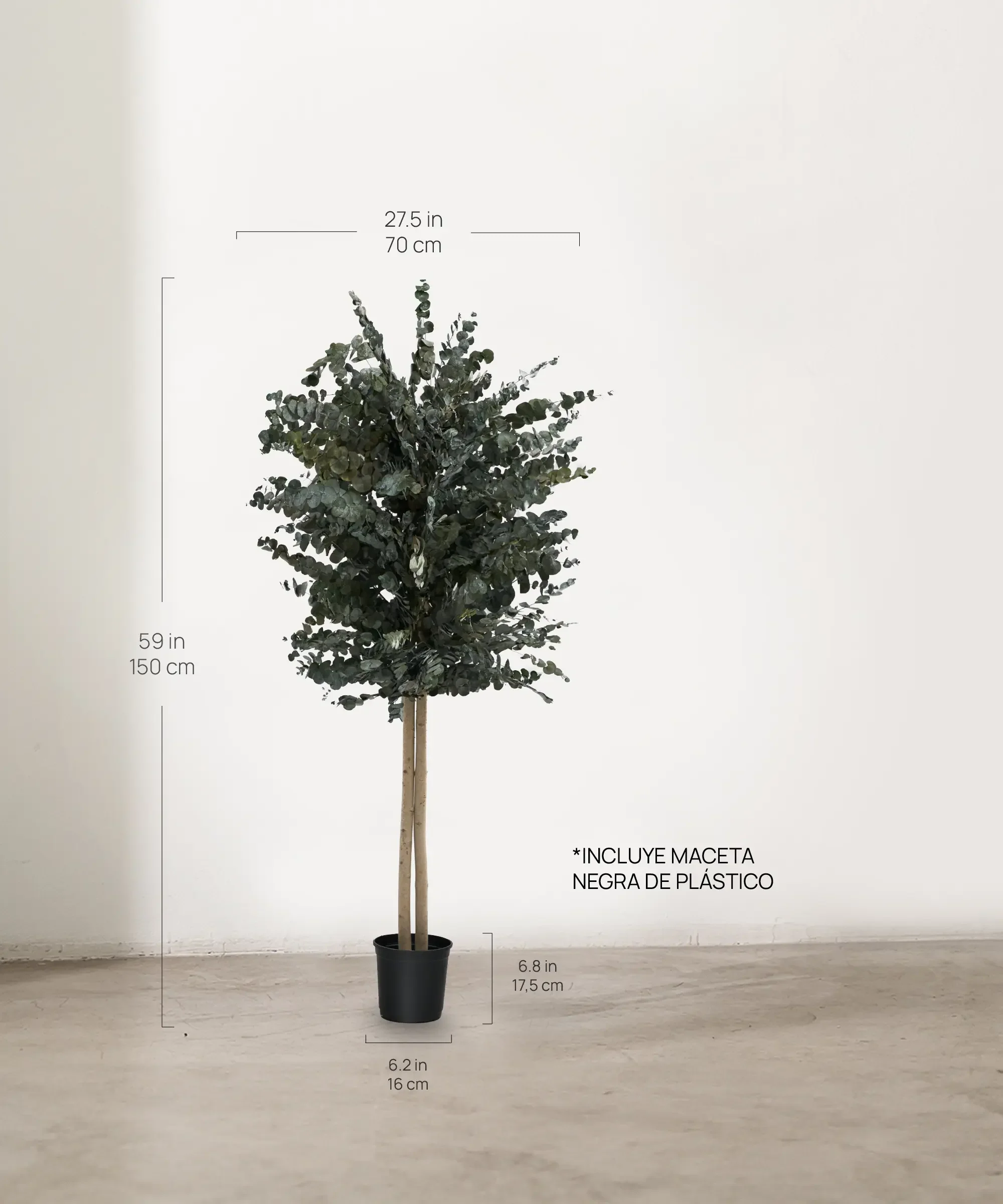 Imagen del producto 8