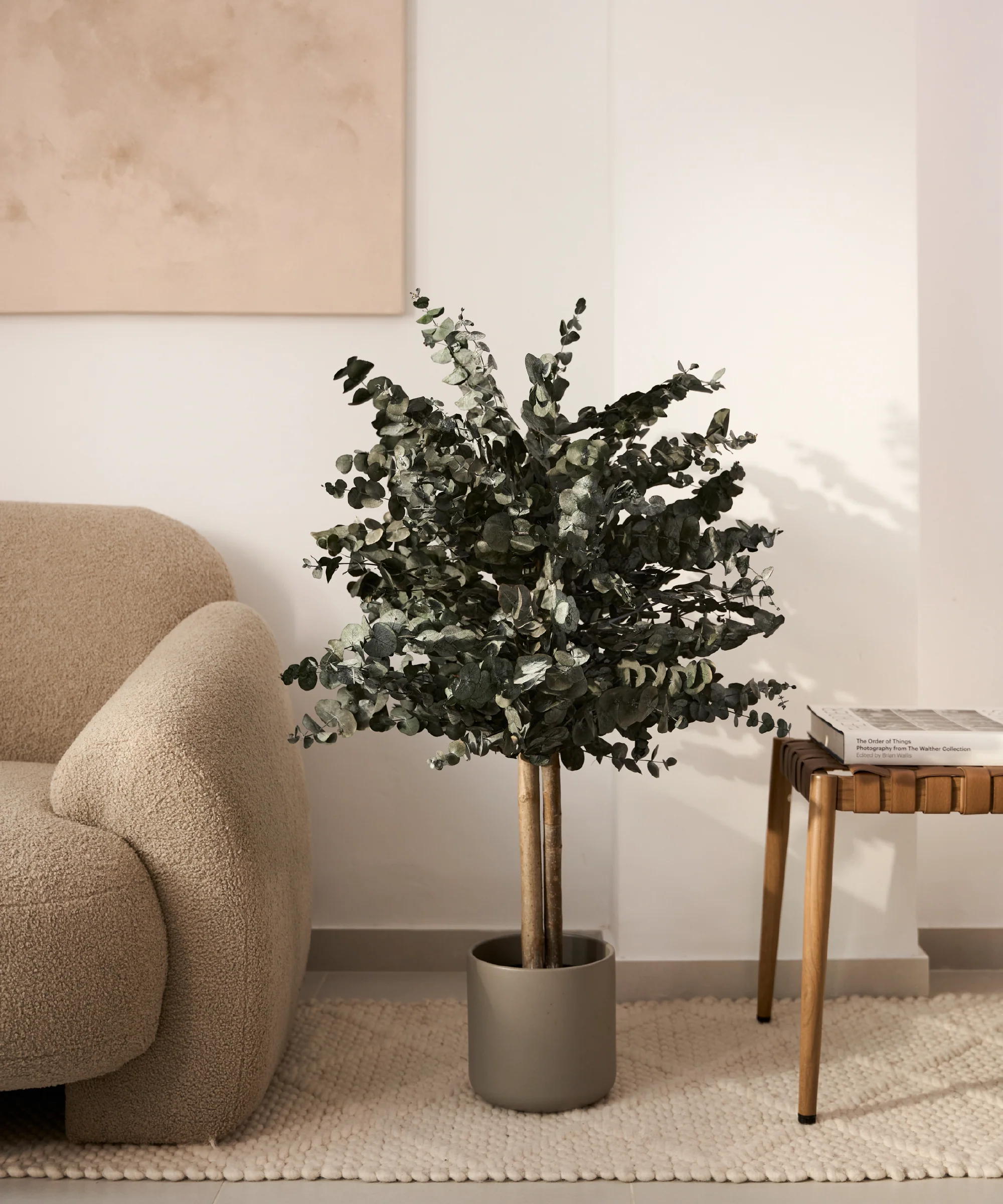 Imagen del producto 9