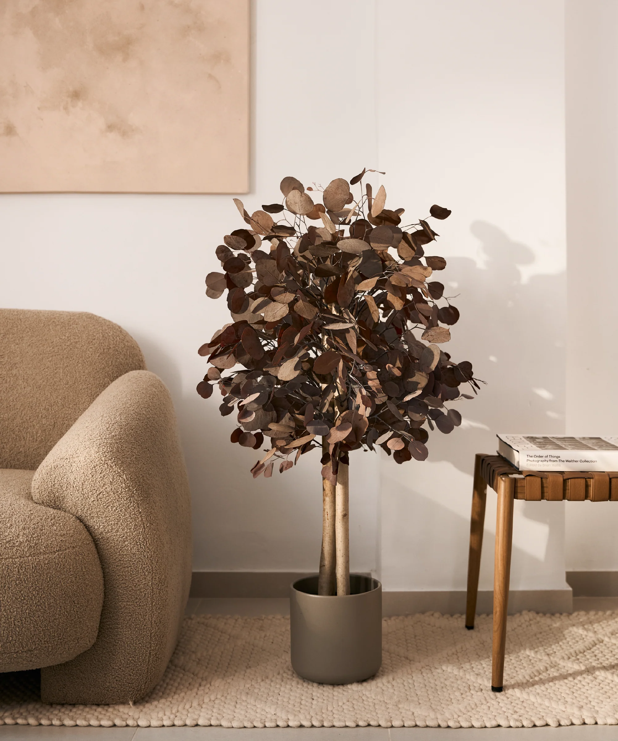 Imagen del producto 10