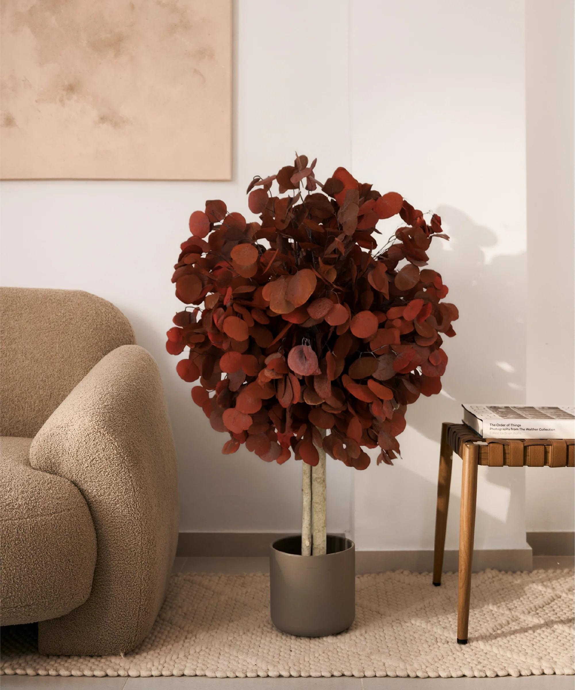 Imagen del producto 11