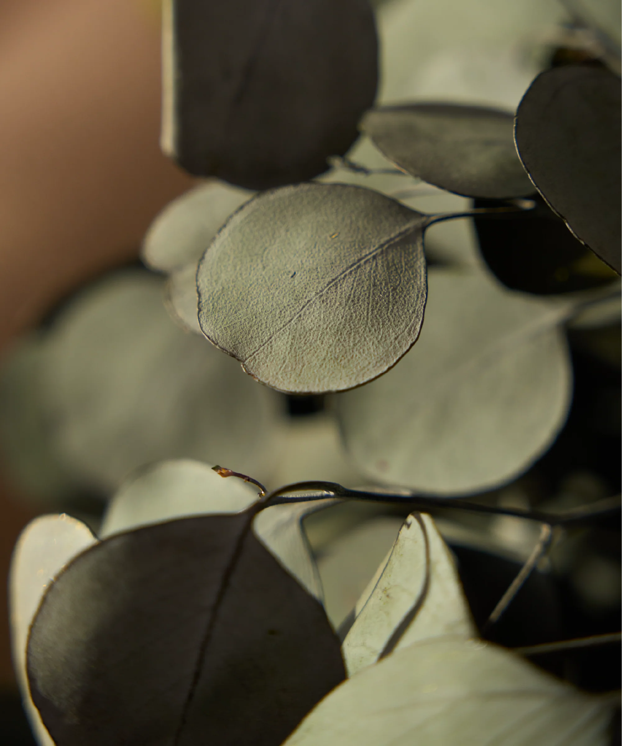 Imagen del producto 12