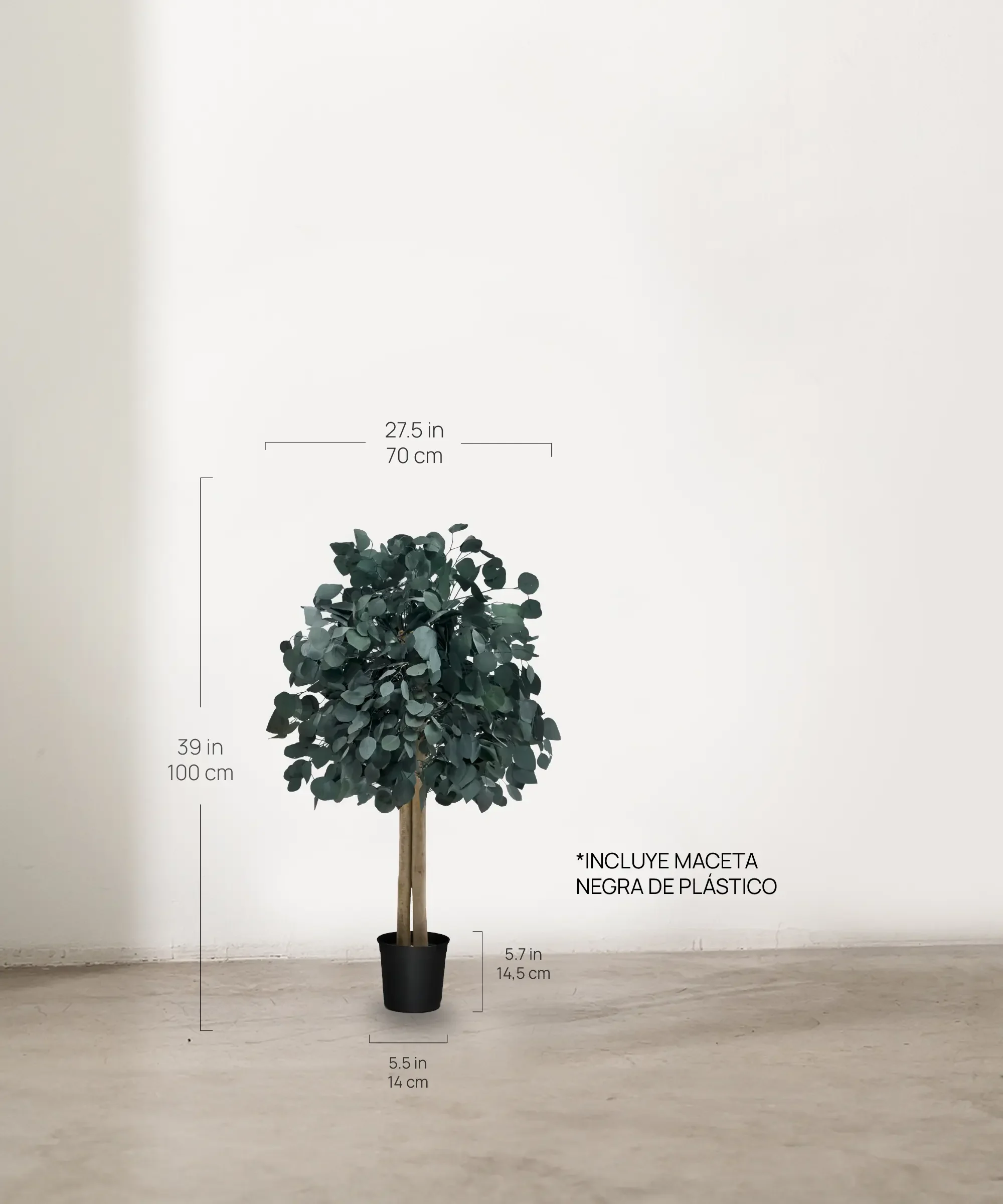 Imagen del producto 17