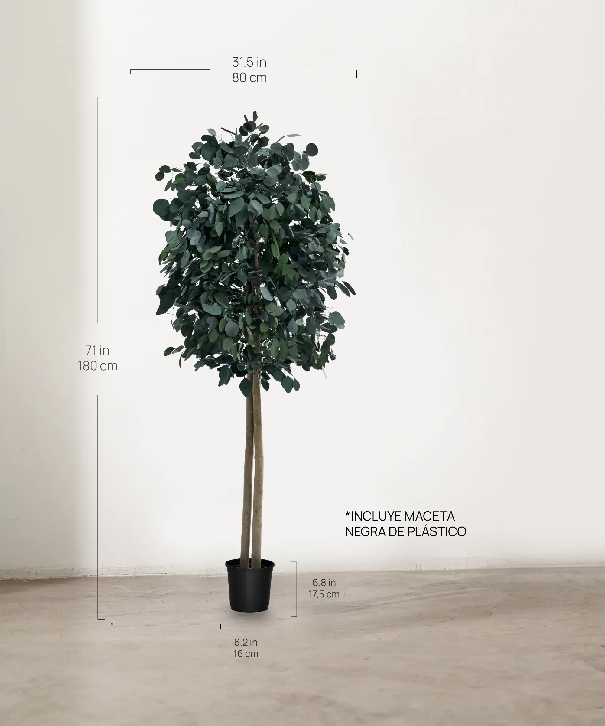 Imagen del producto 4