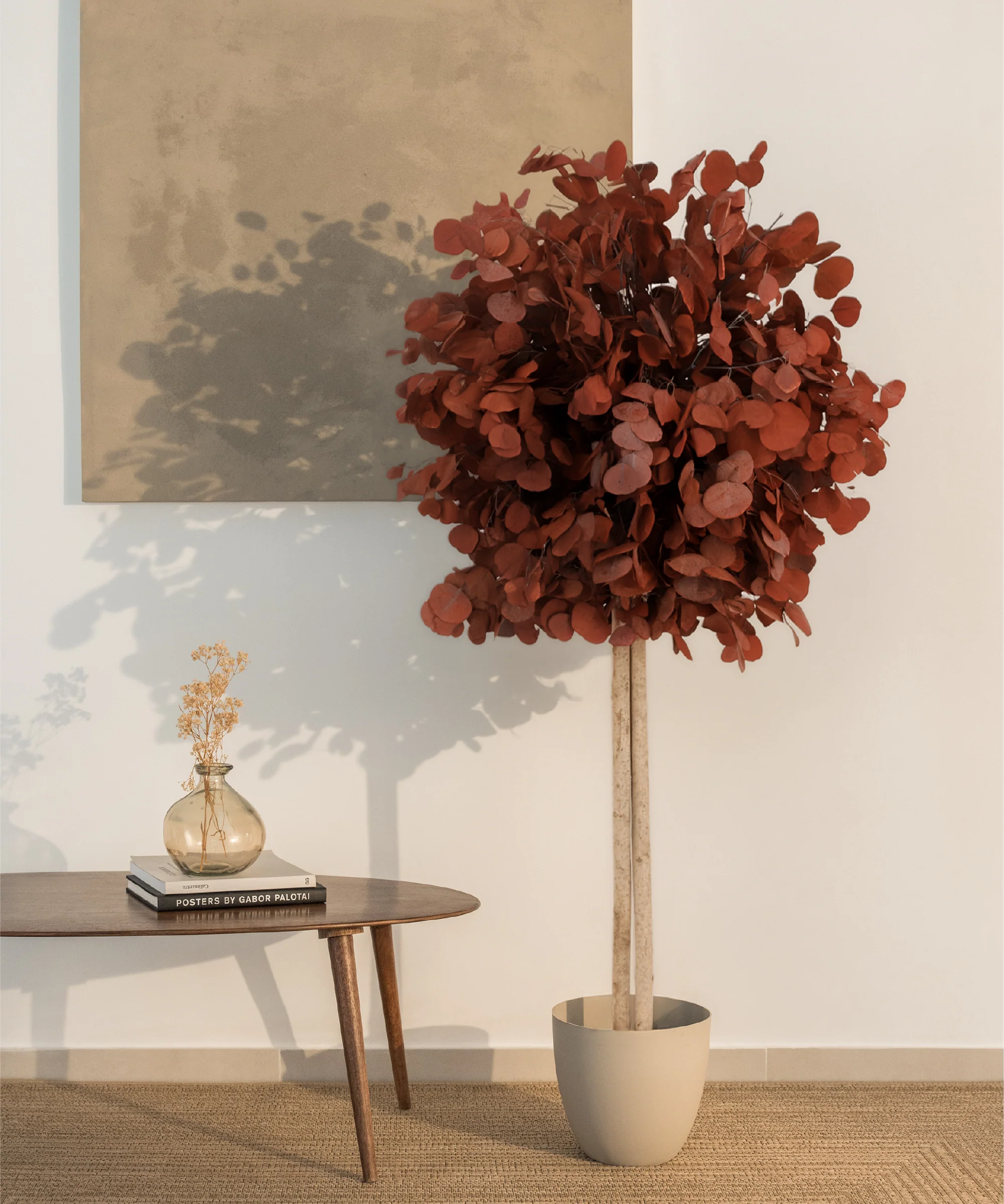 Imagen del producto 7