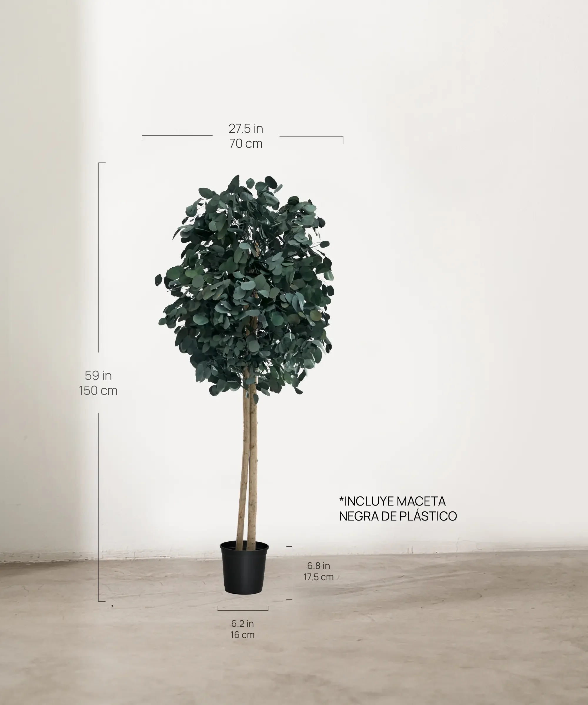 Imagen del producto 8