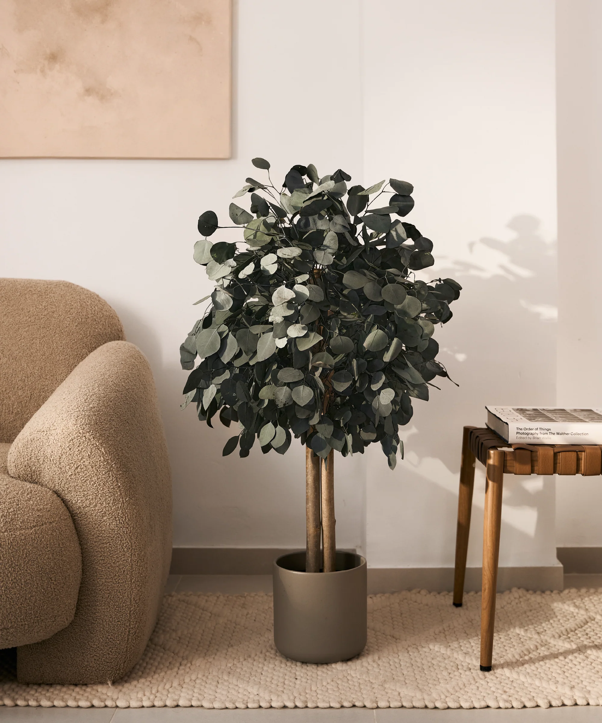 Imagen del producto 9