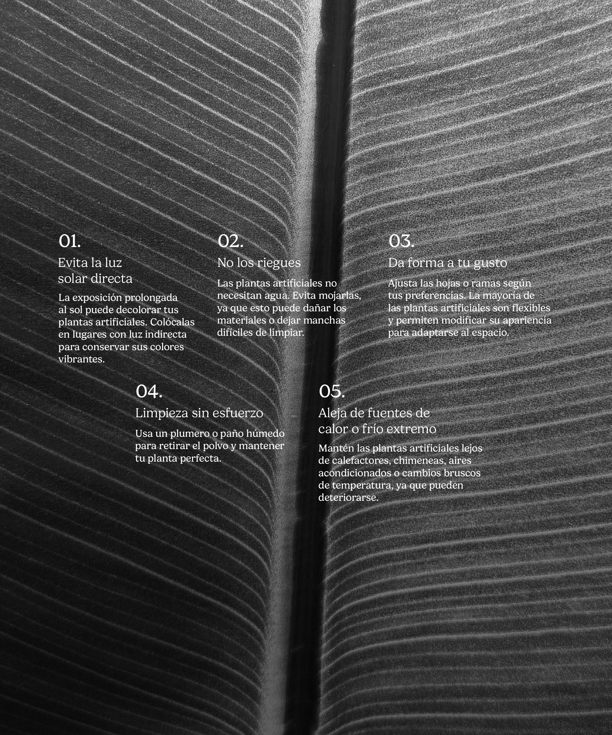 Imagen del producto 8