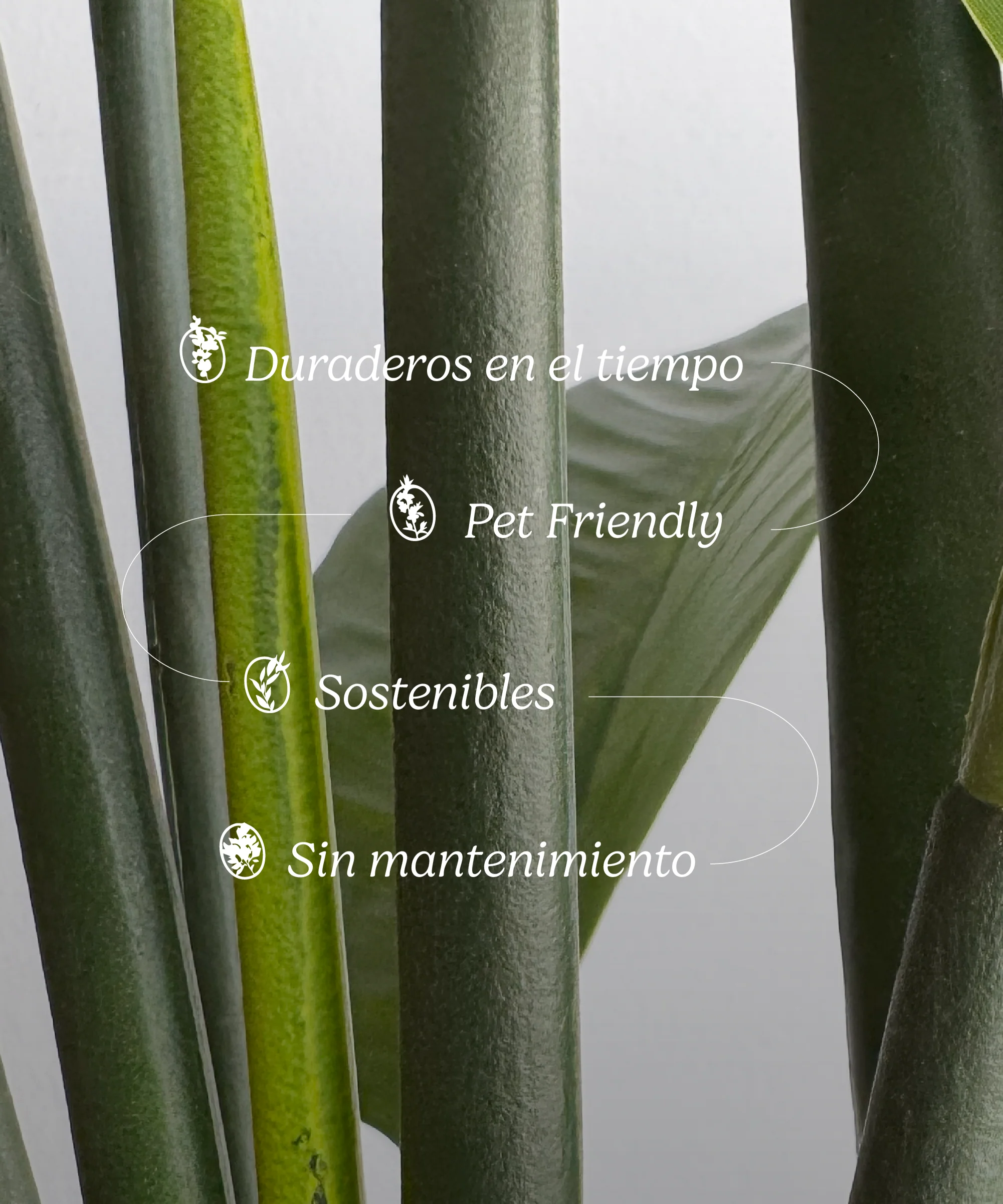 Imagen del producto 9