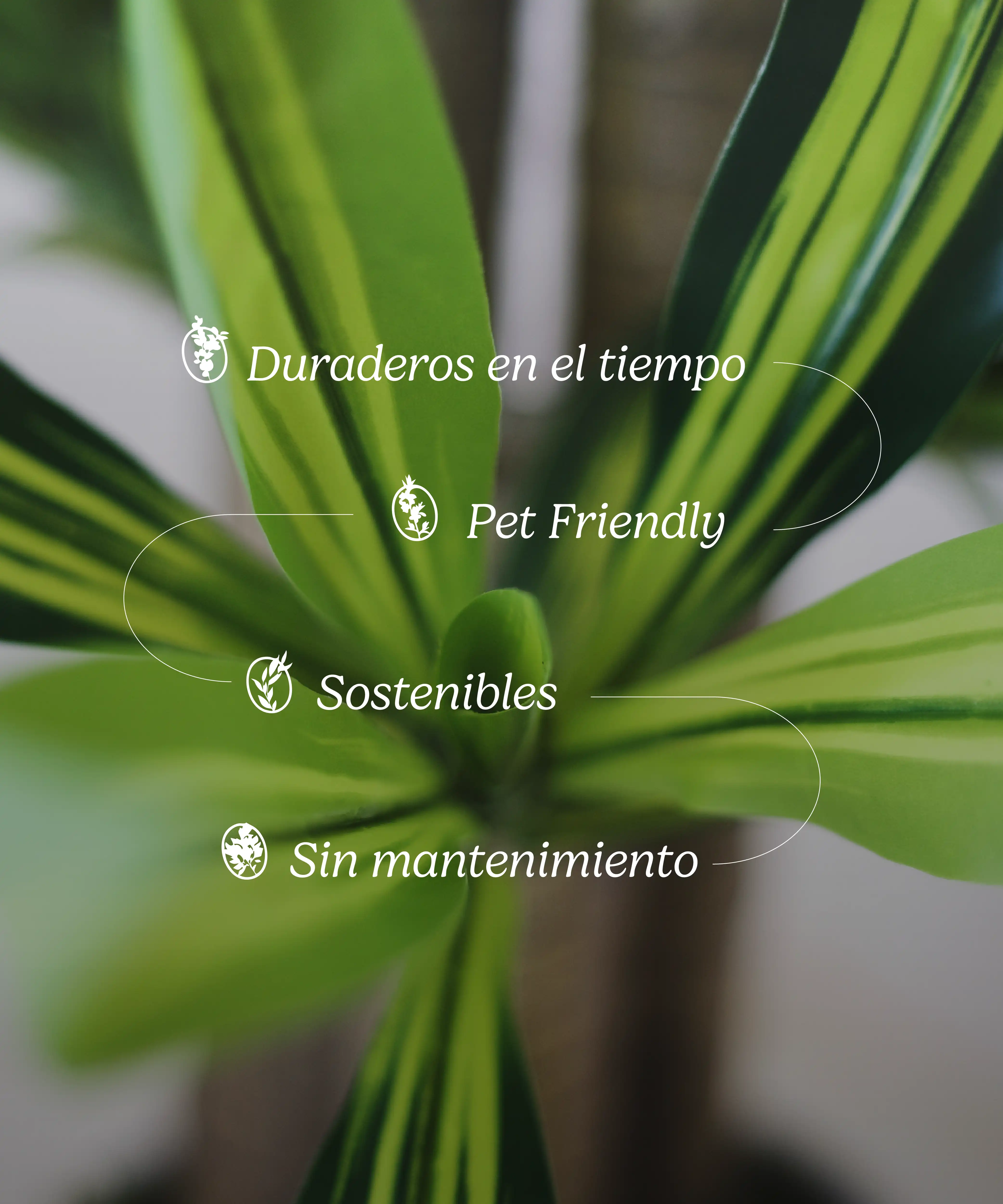 Imagen del producto 10