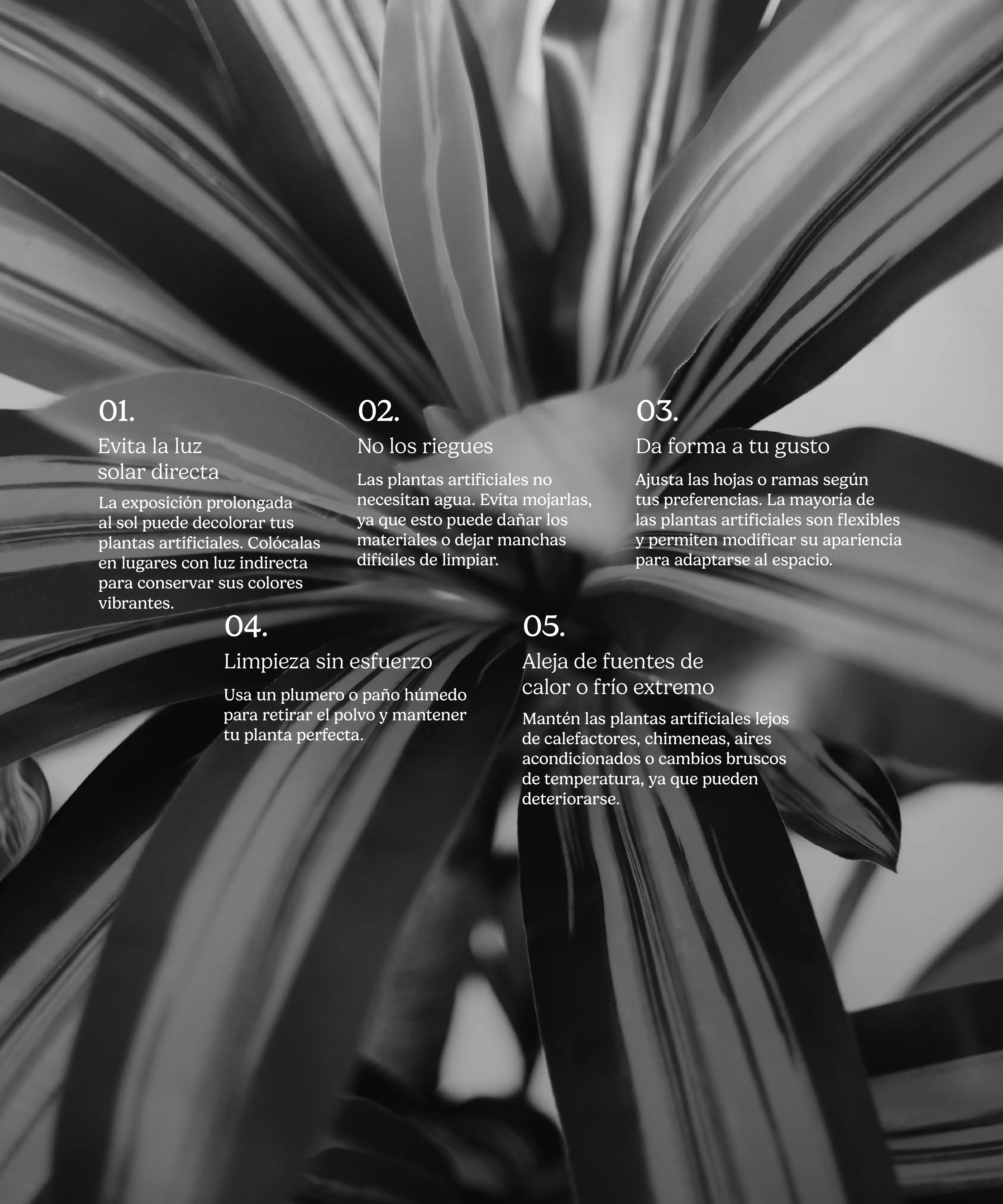 Imagen del producto 11