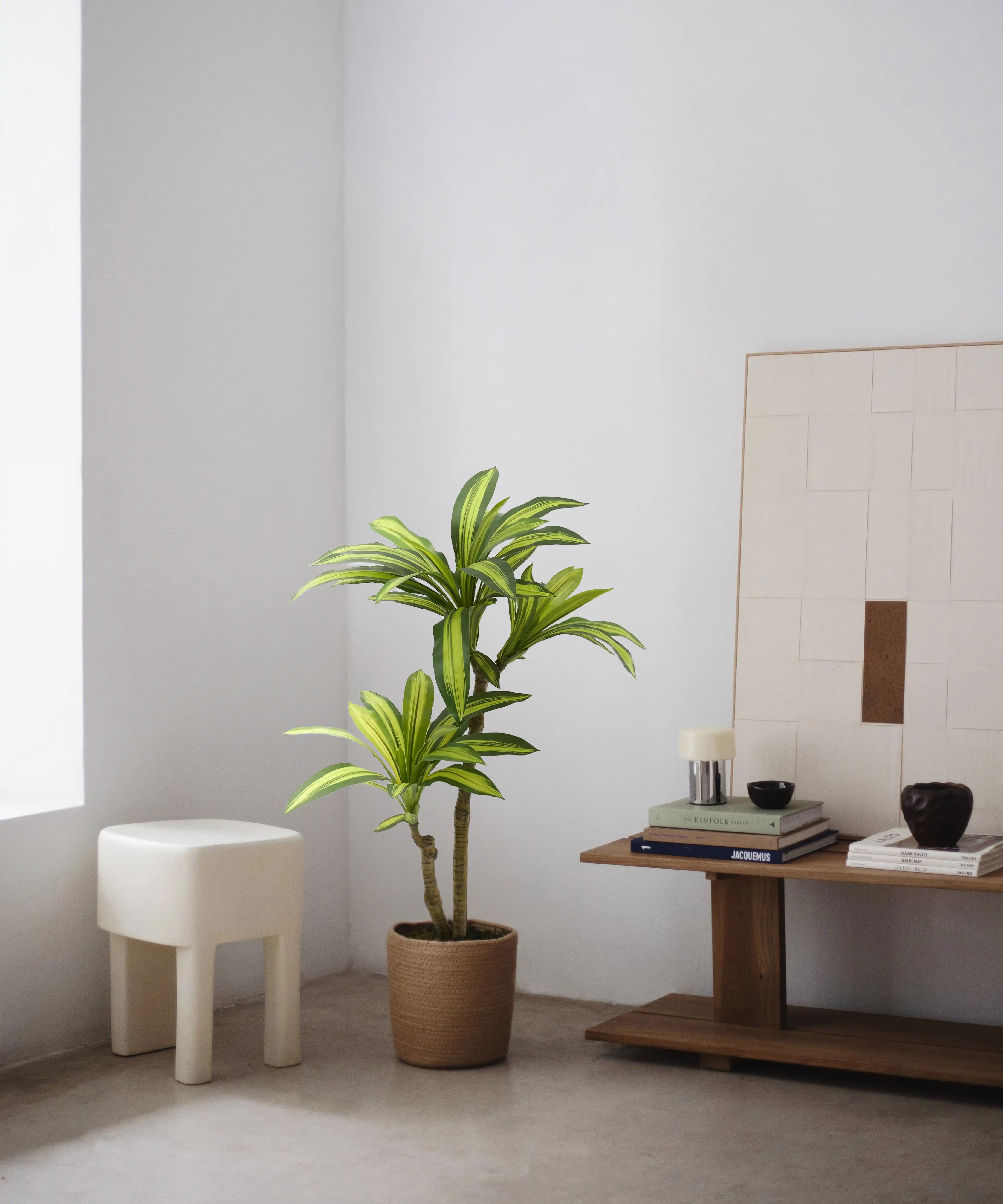 Imagen del producto 7