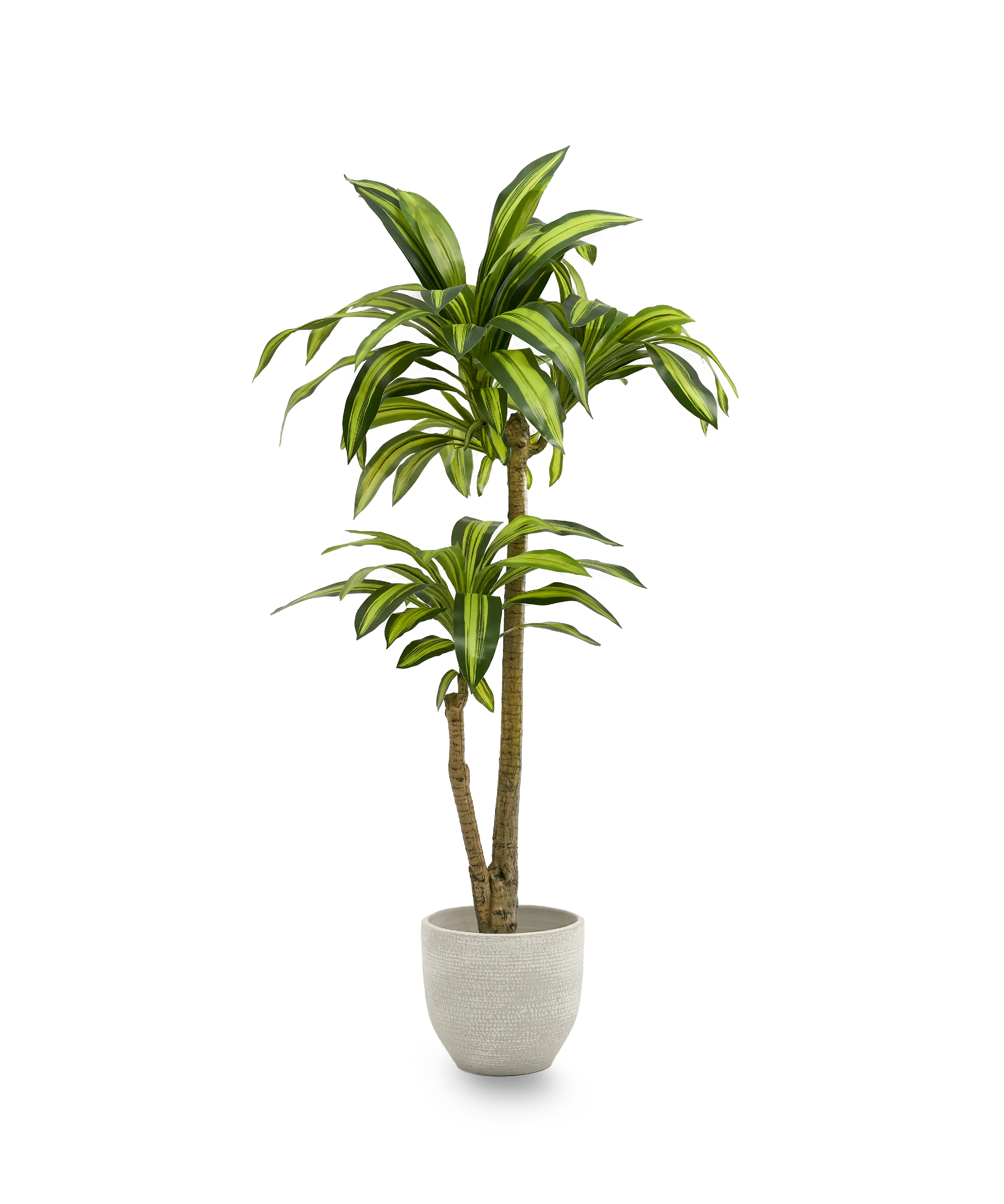 Imagen del producto 8