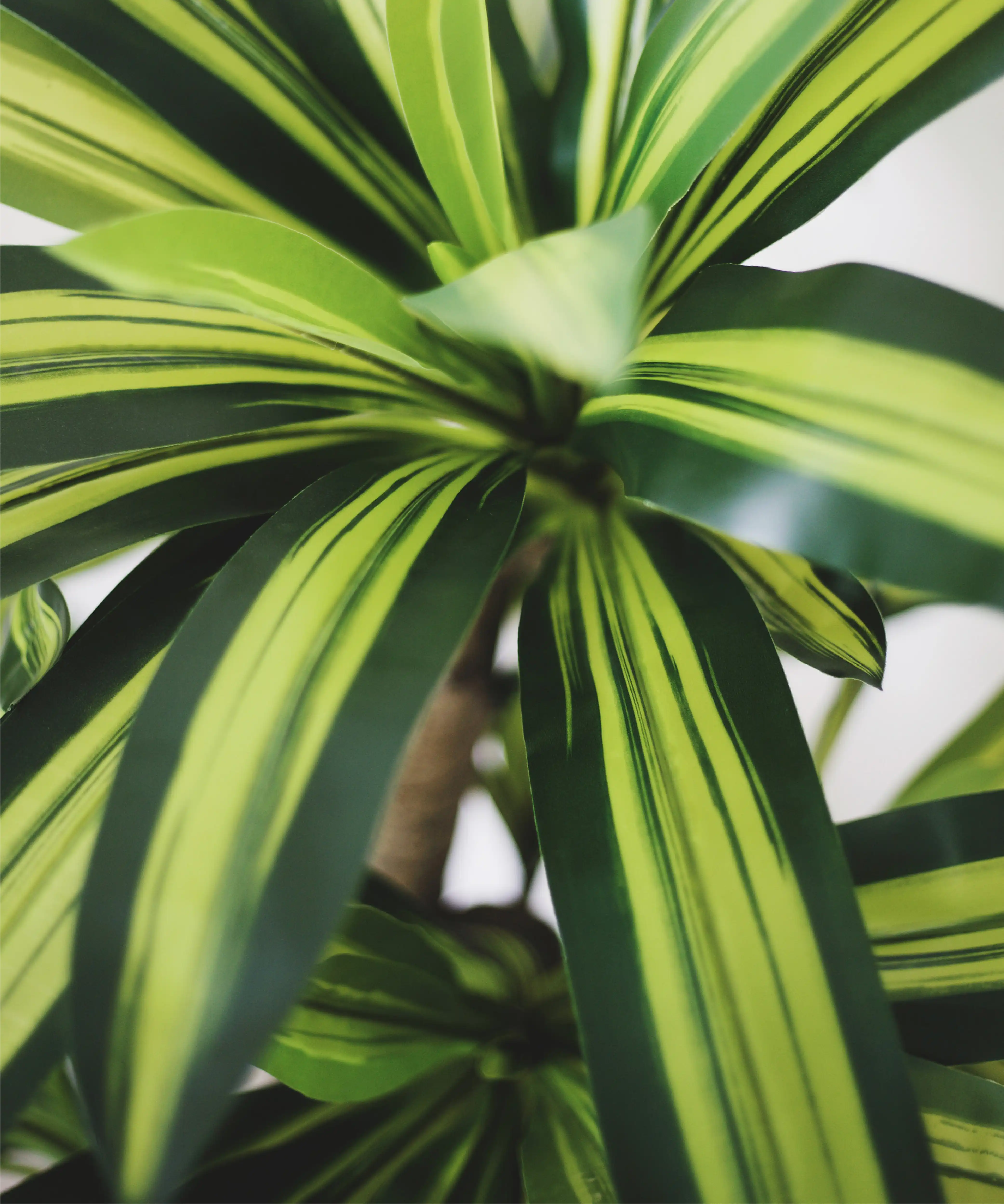 Imagen del producto 9