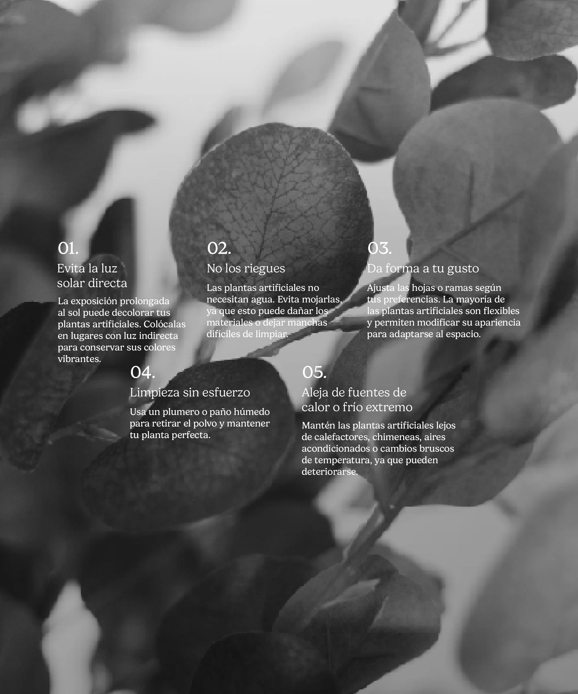 Imagen del producto 10