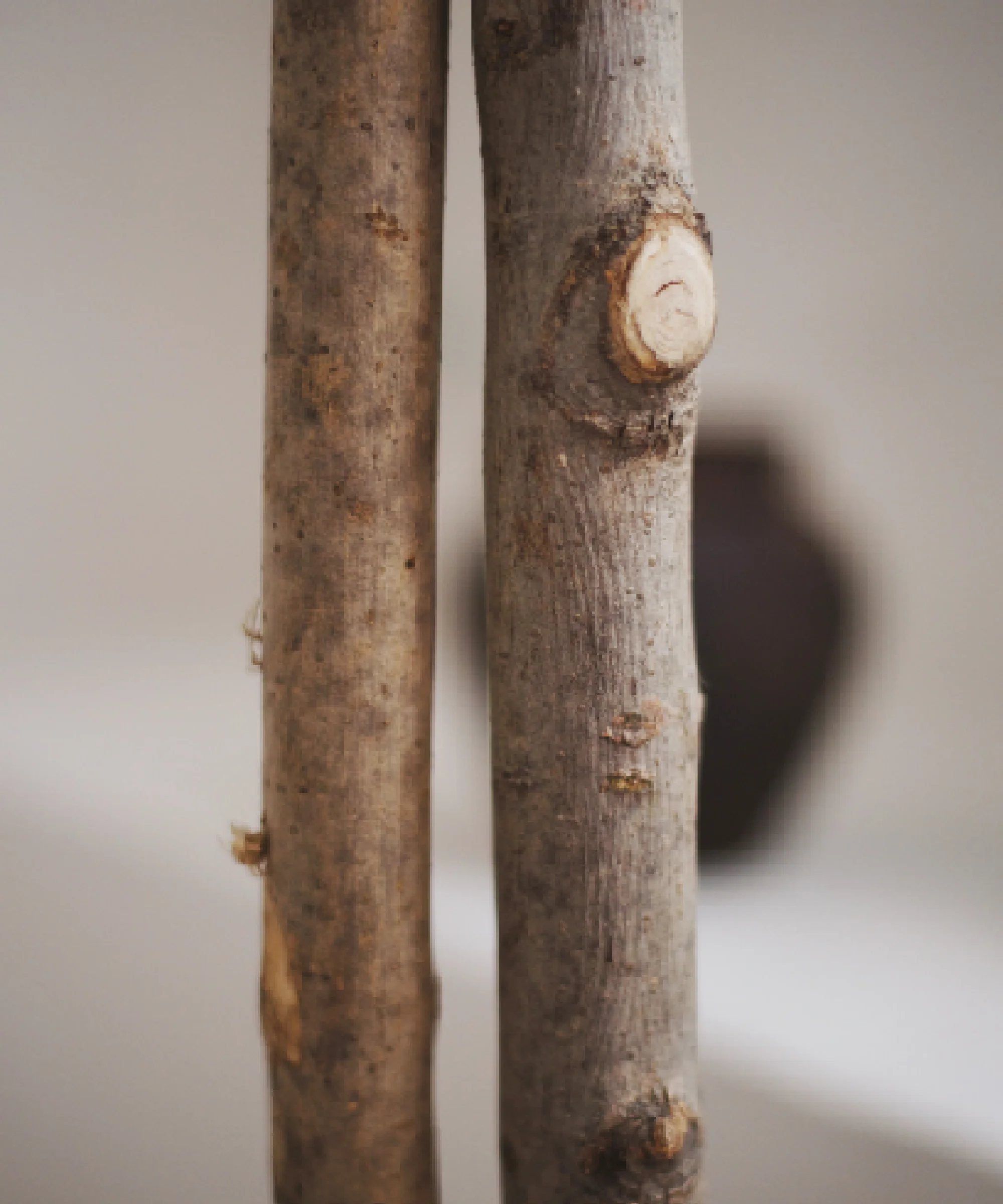 Imagen del producto 8