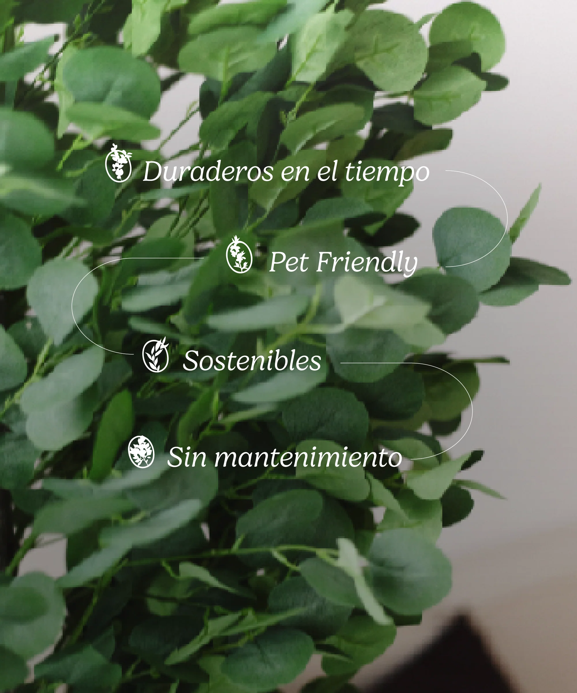 Imagen del producto 9