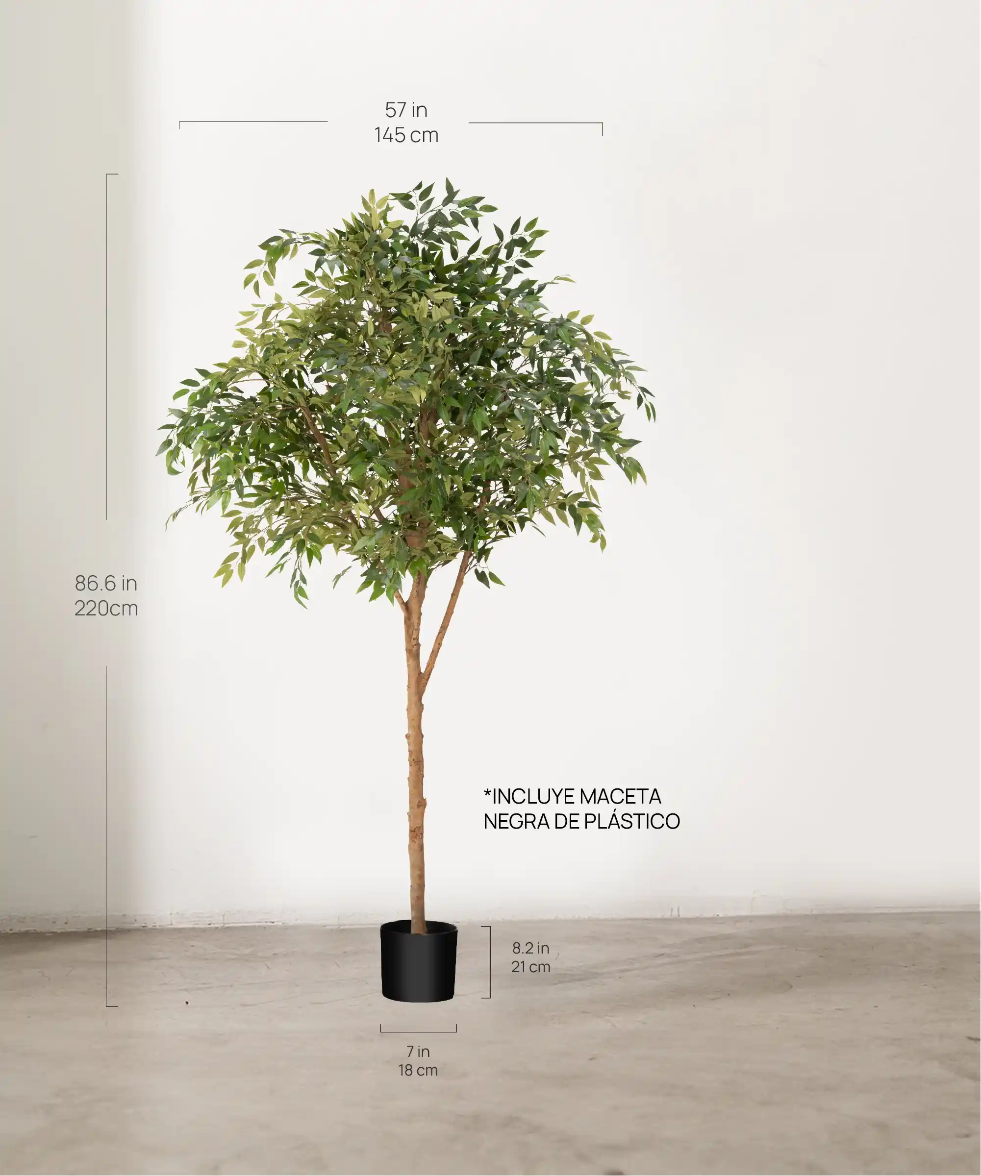 Imagen del producto 4