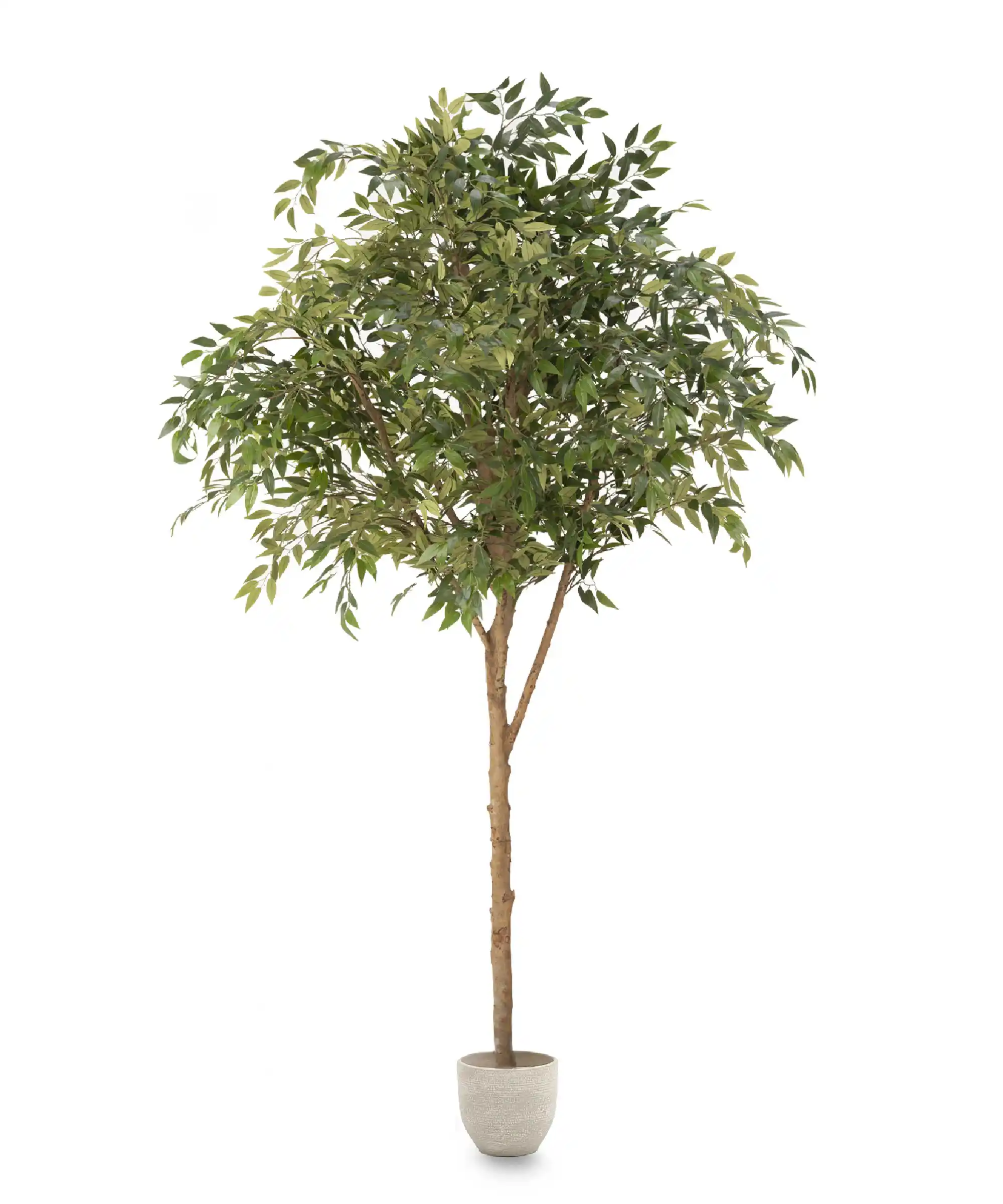 Imagen del producto 7