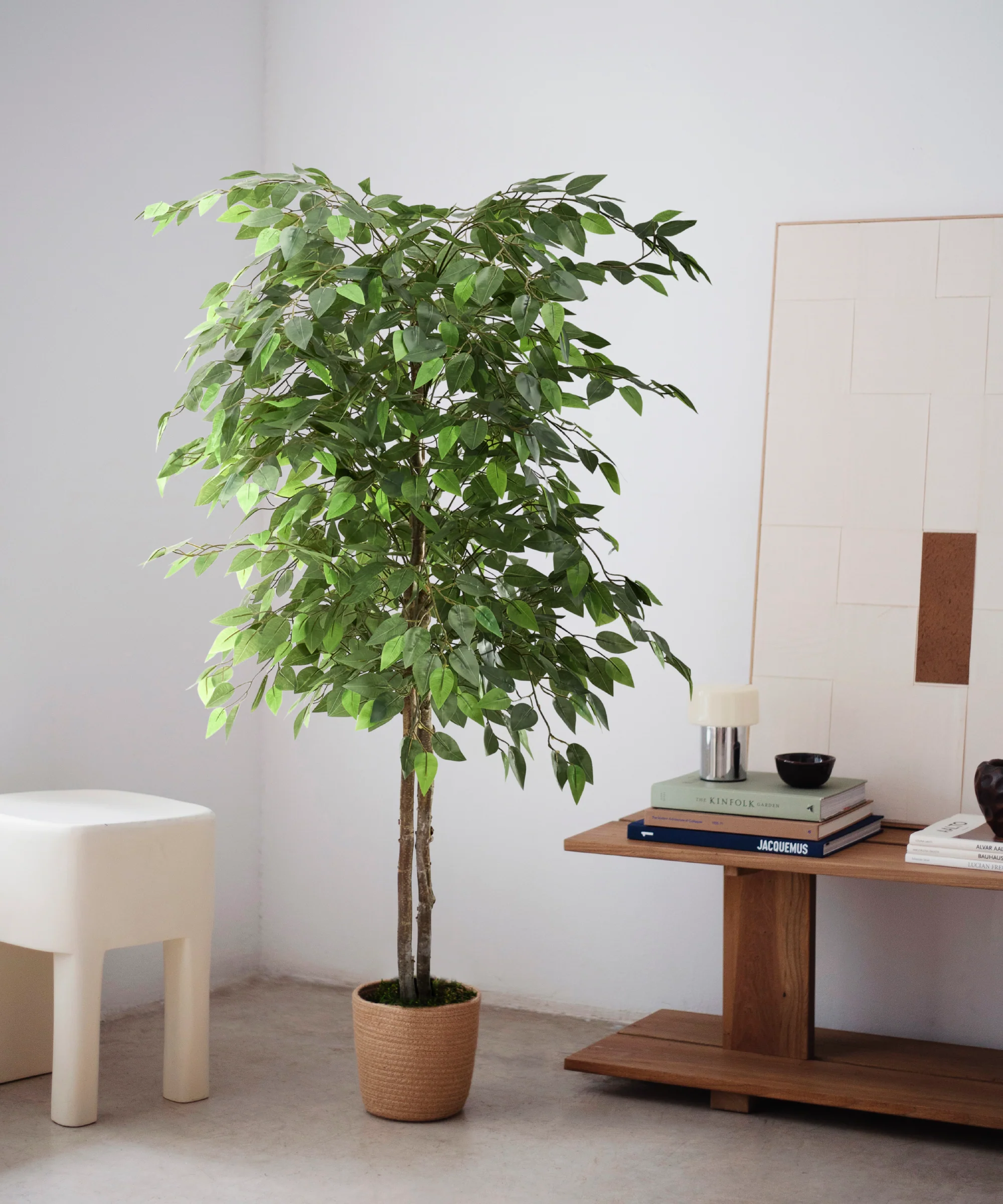 Imagen del producto 4