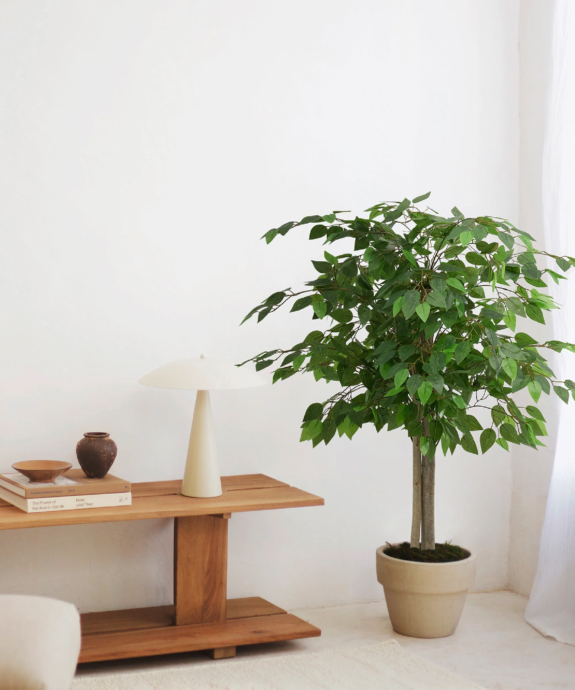 Imagen del producto 5