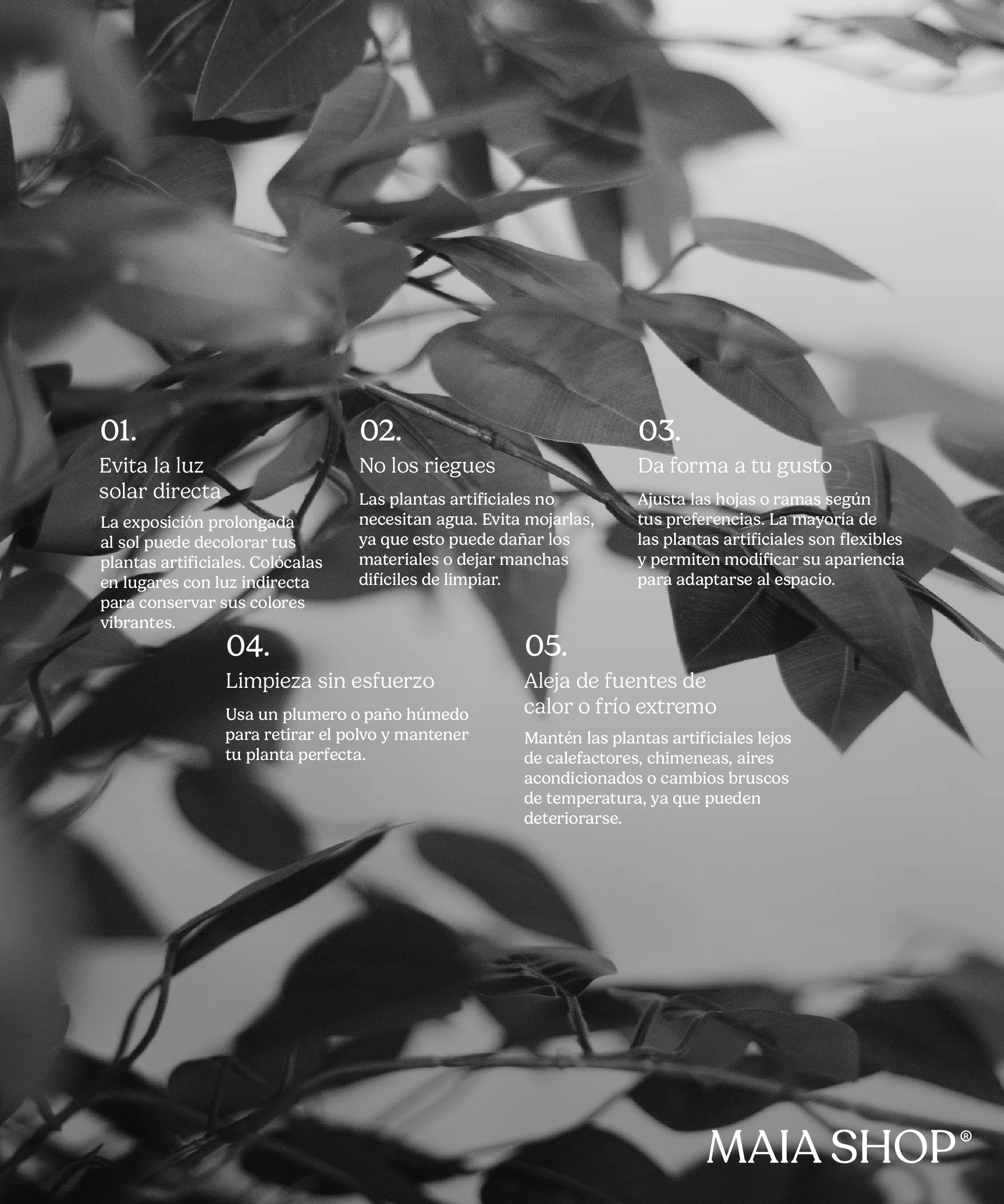 Imagen del producto 8