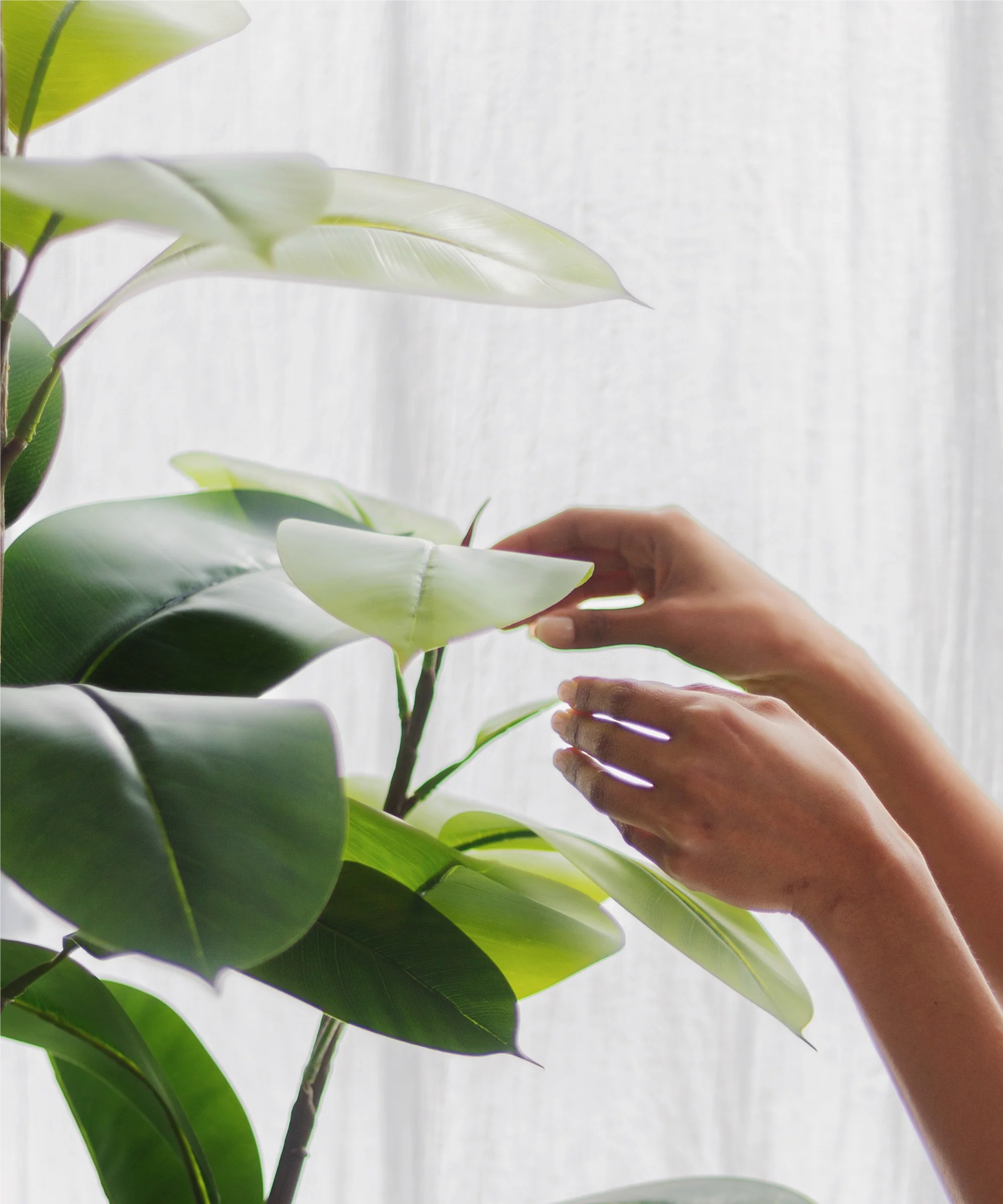 Imagen del producto 7