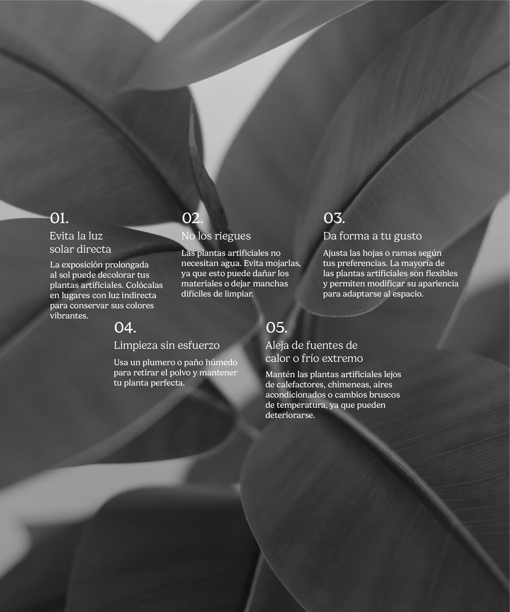 Imagen del producto 9